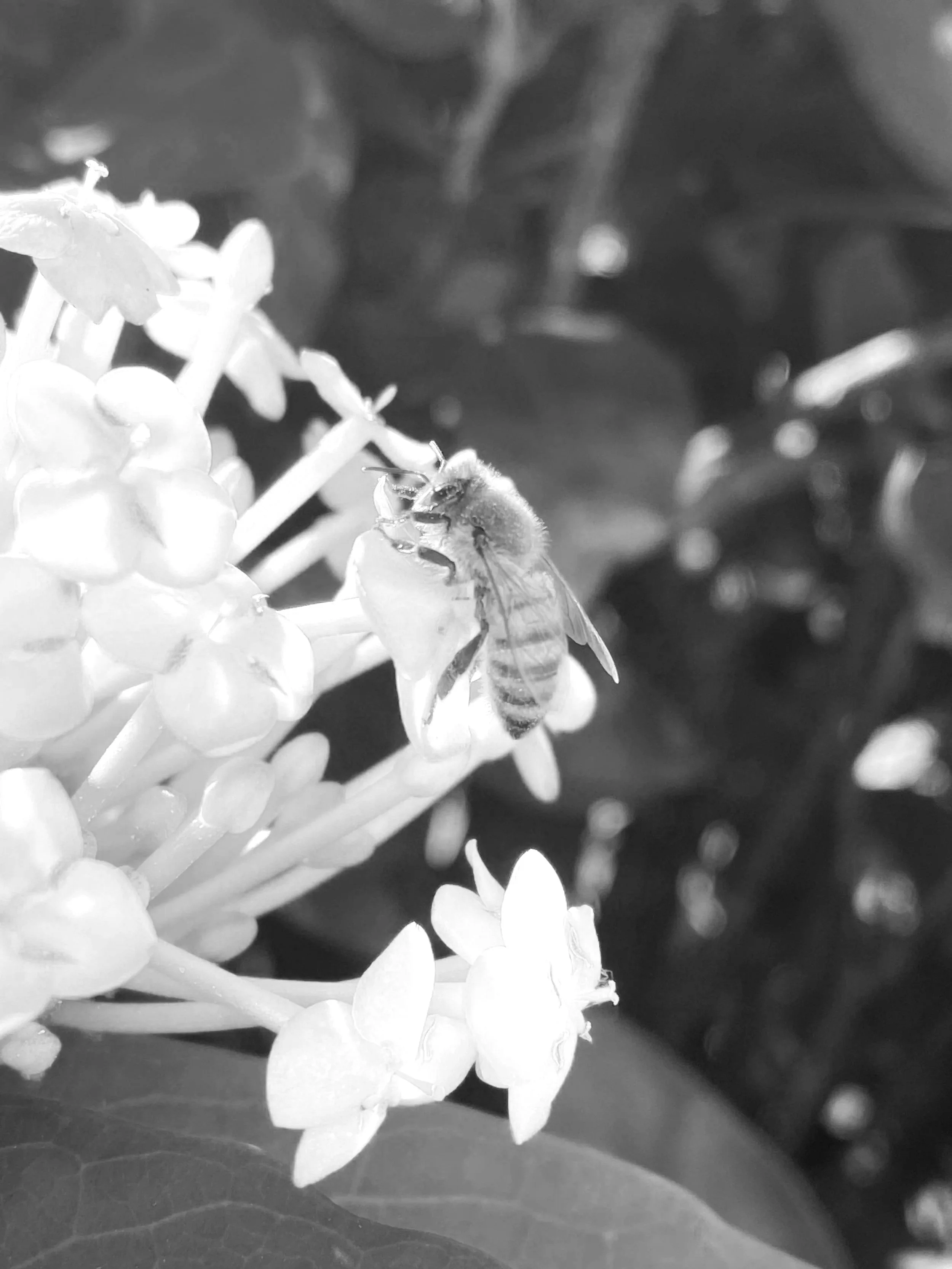 On working with nature