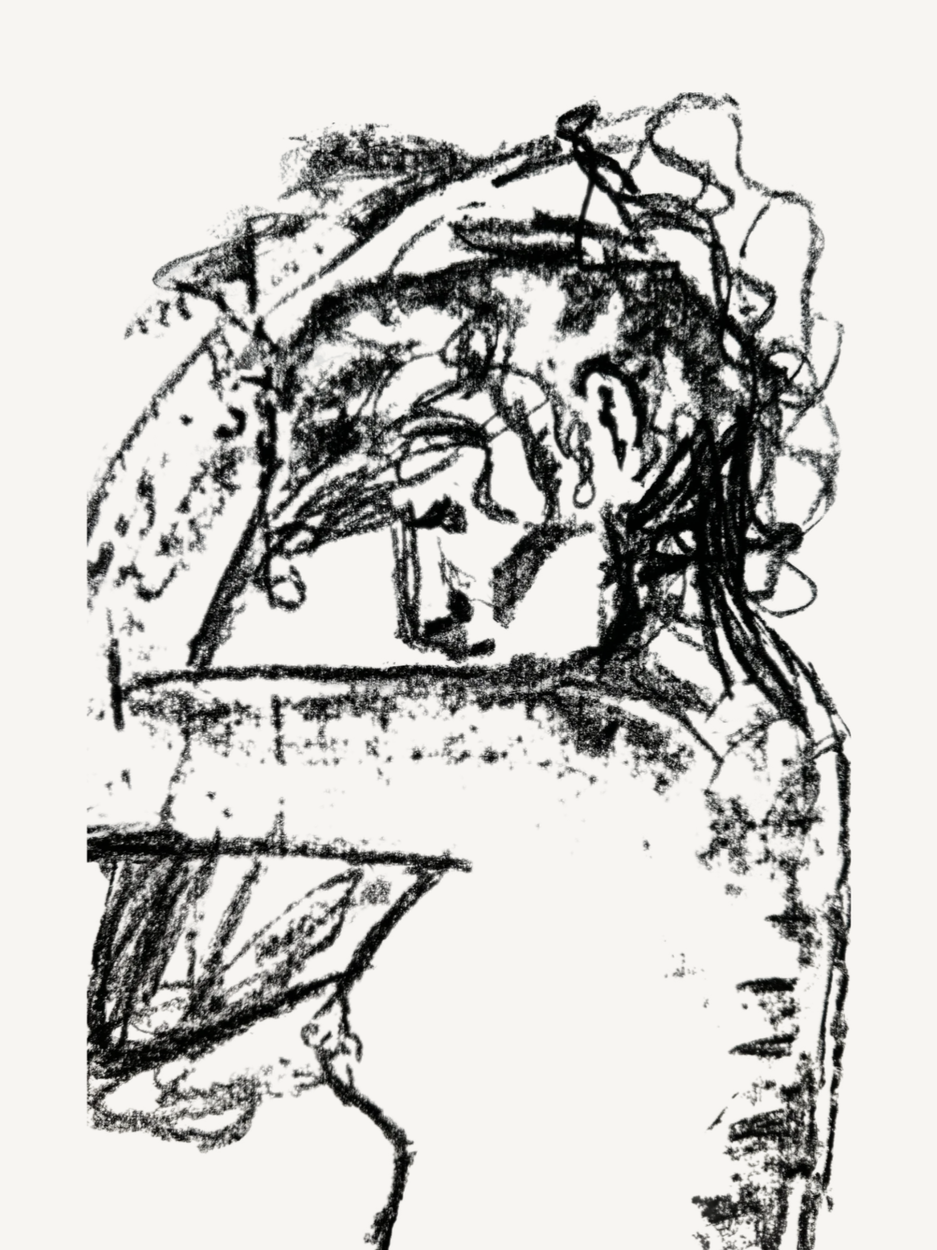 No. 19 HIM