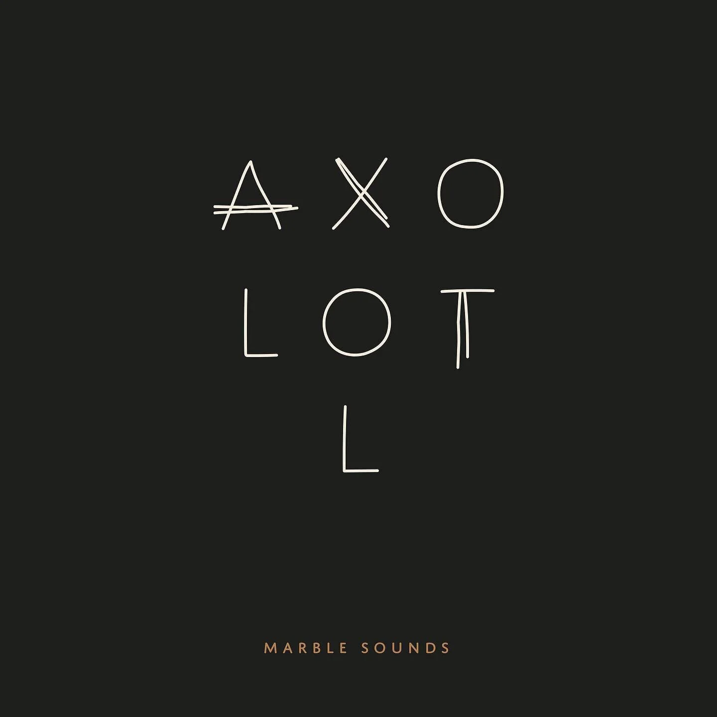 We are grateful for all the nice comments on &ldquo;Axolotl&rdquo;. This week the song is even VoxTip on @radio1.be 🤩. And shout out to Elke Verschatse for the beautiful cover artwork.