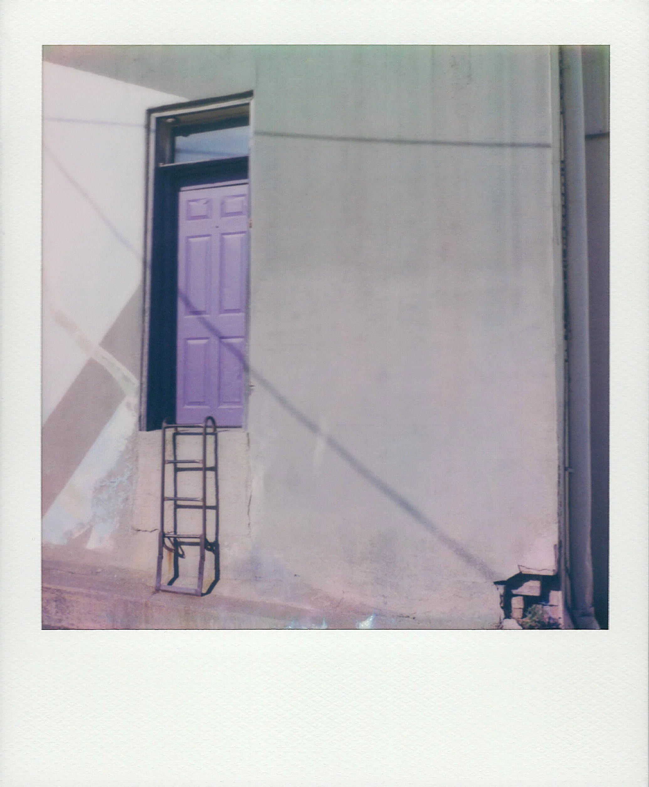 PurpleDoor.jpg
