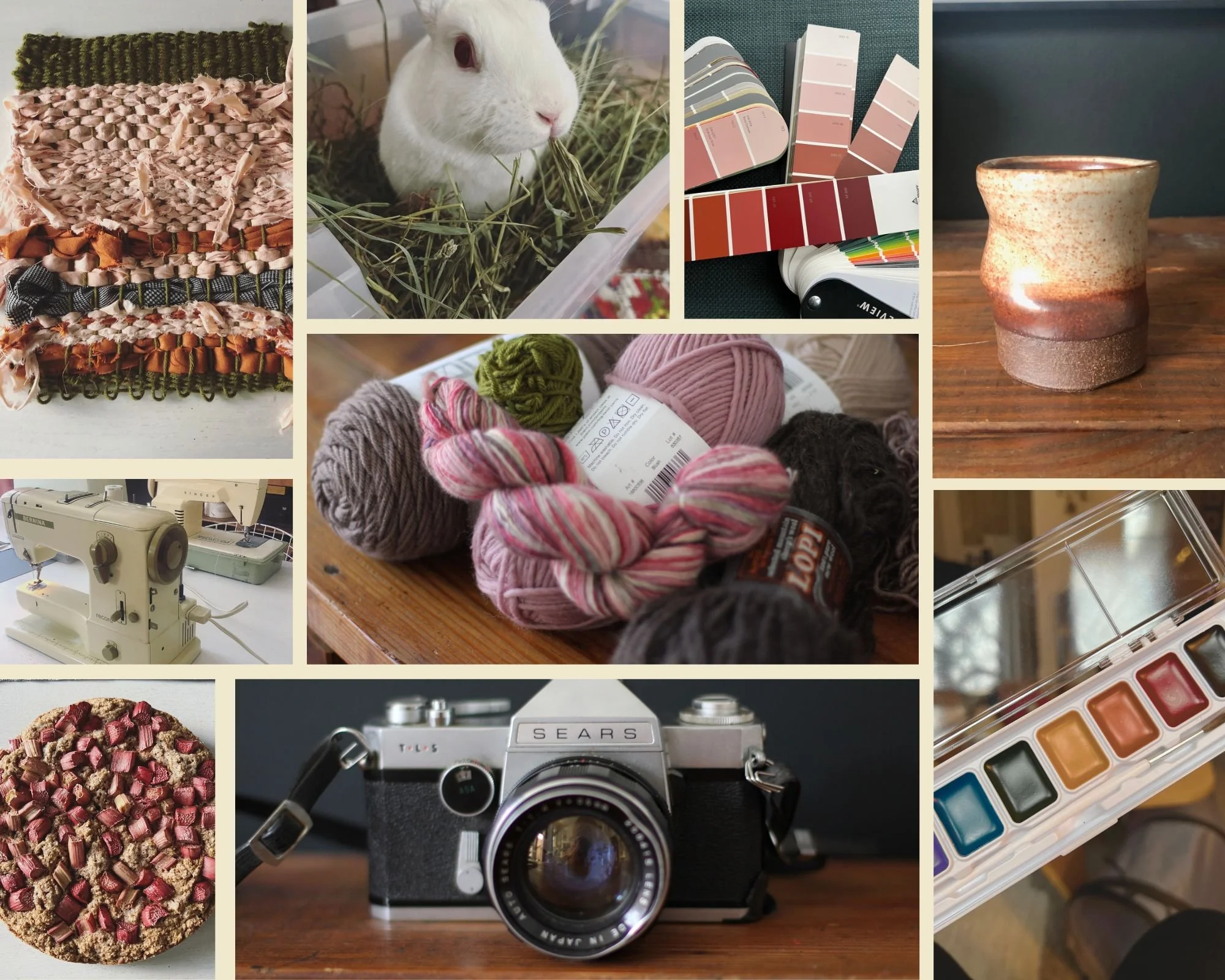 A bunny, pottery, yarn, sewing machine, water colors, paint samples, rhubarb pie and a vintage camera