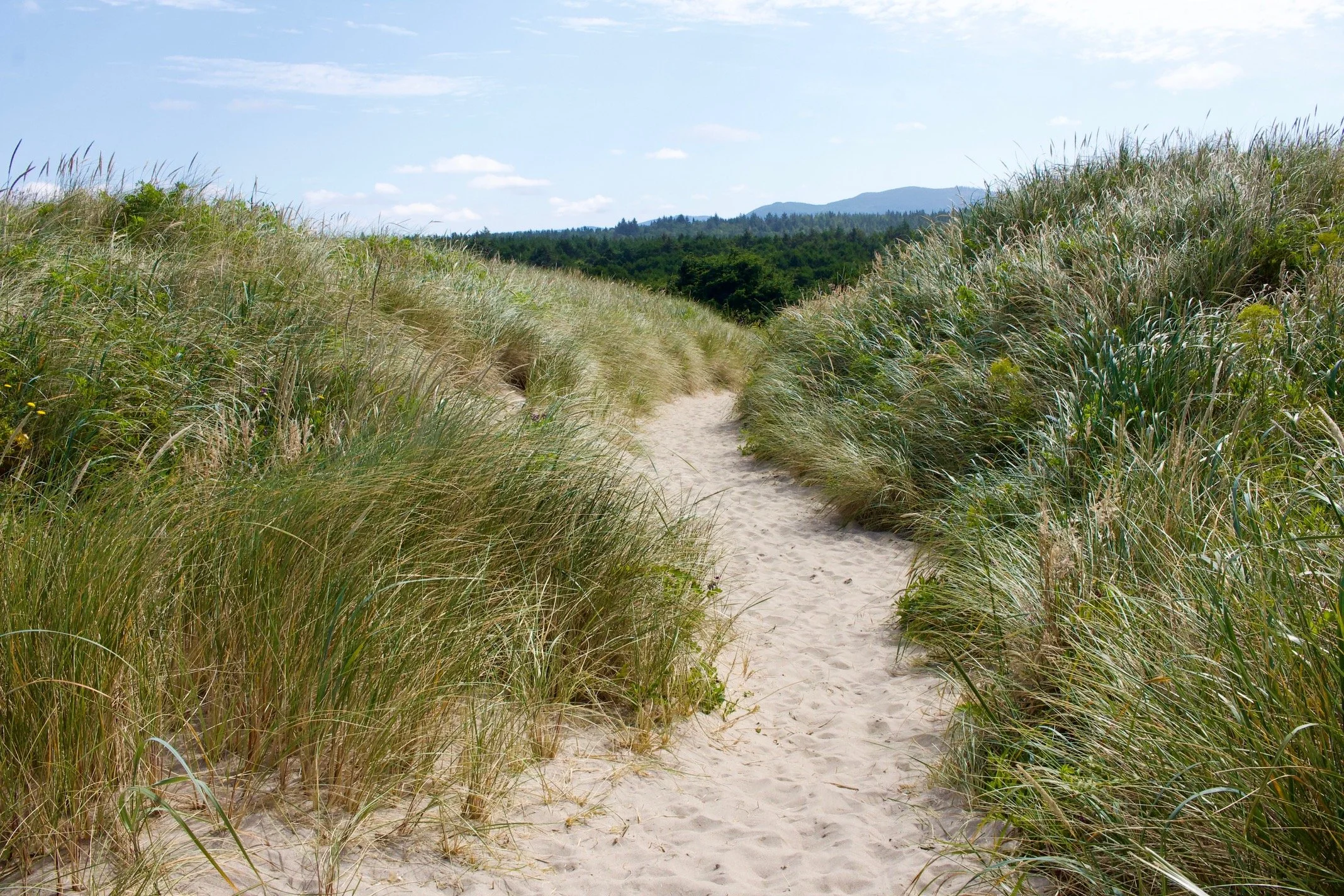 SEE Lens: Preference