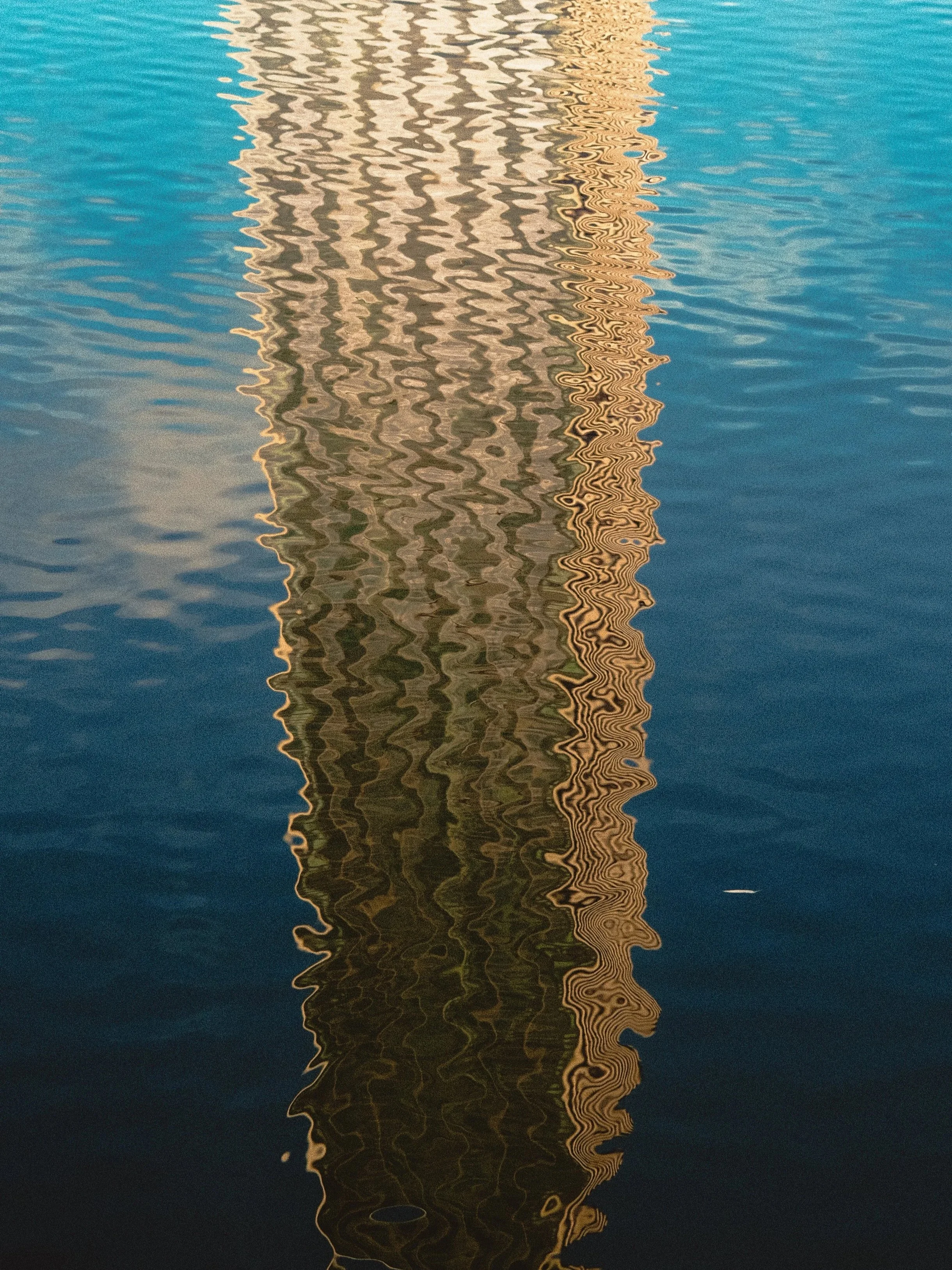 DSCF8742.jpg