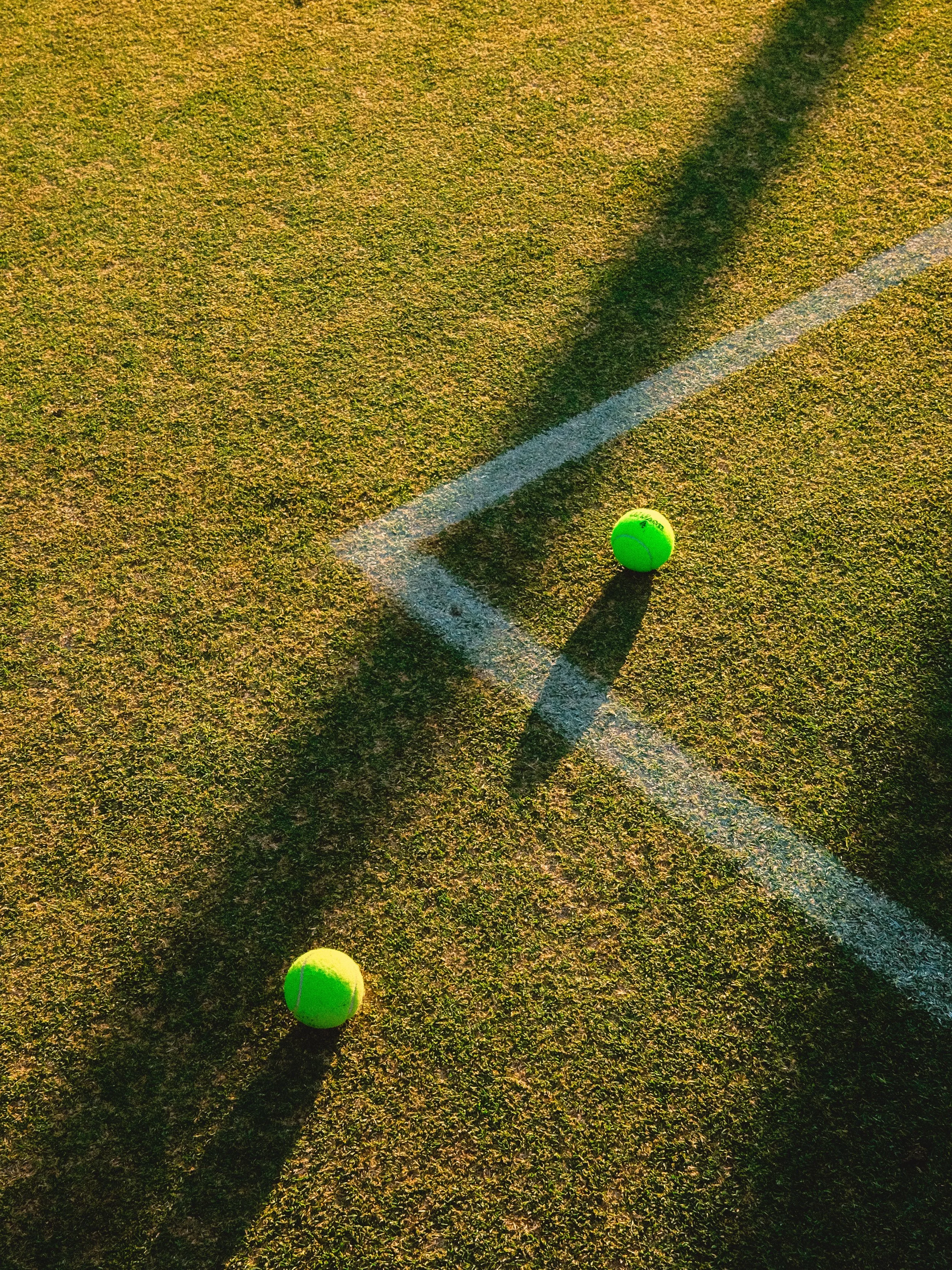 DSCF8248 (3) (1).jpg