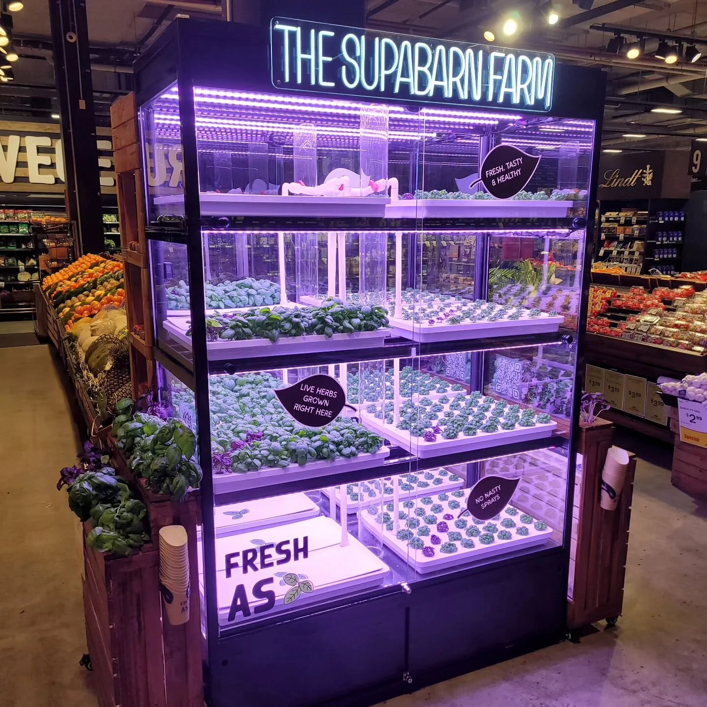 Fresh, everyday.

#localproduce #basil #freshbasil #vericalfarming