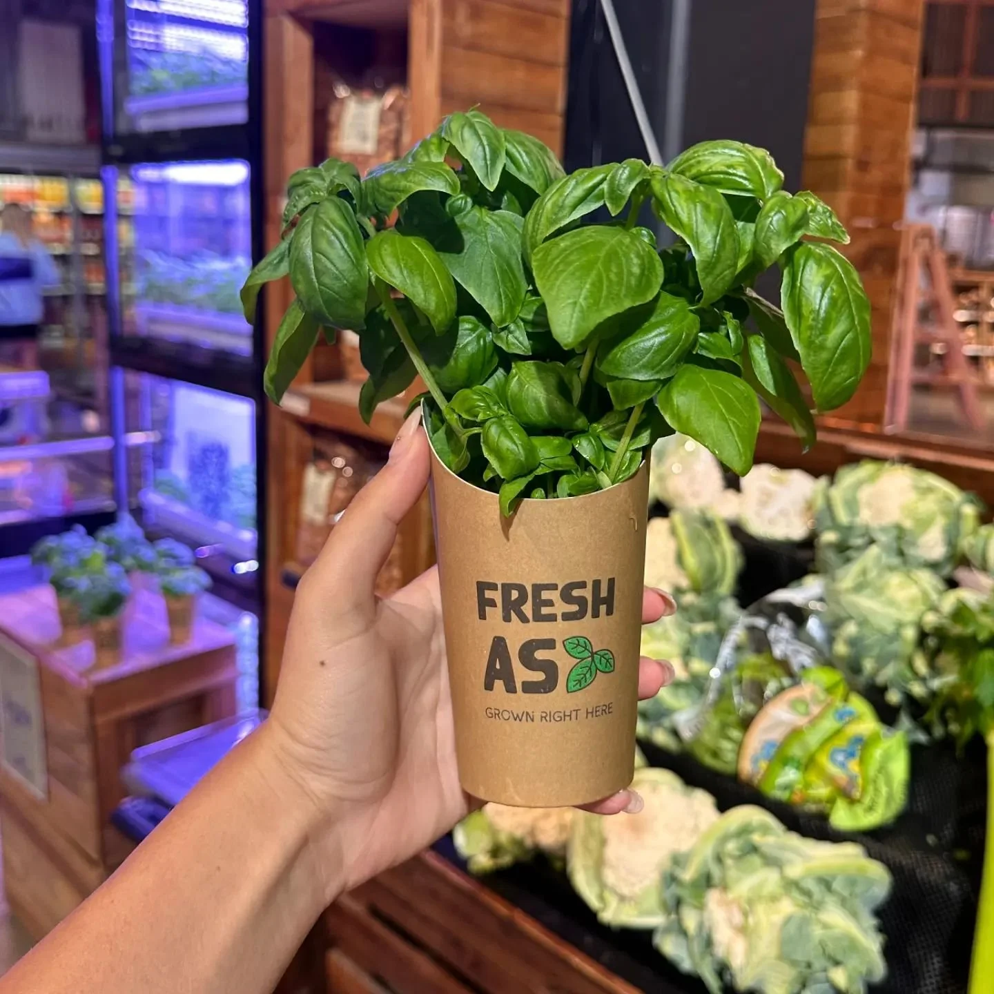 Caprese salad anyone?

#verticalfarming #verticalfarms #freshbasil #basil #capresesalad