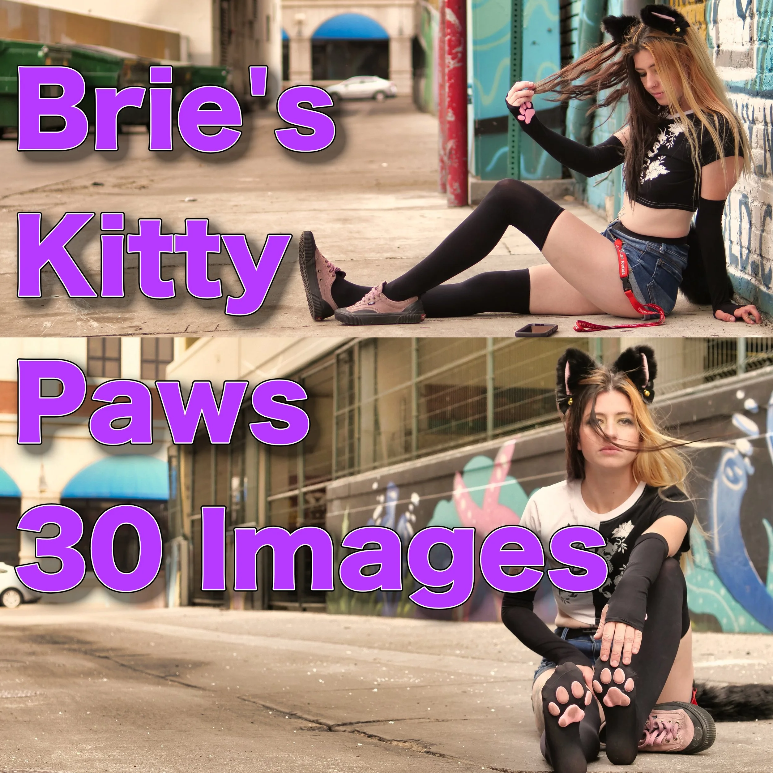 Brie's Kitty Paws (30 Images) — Sole Purposes