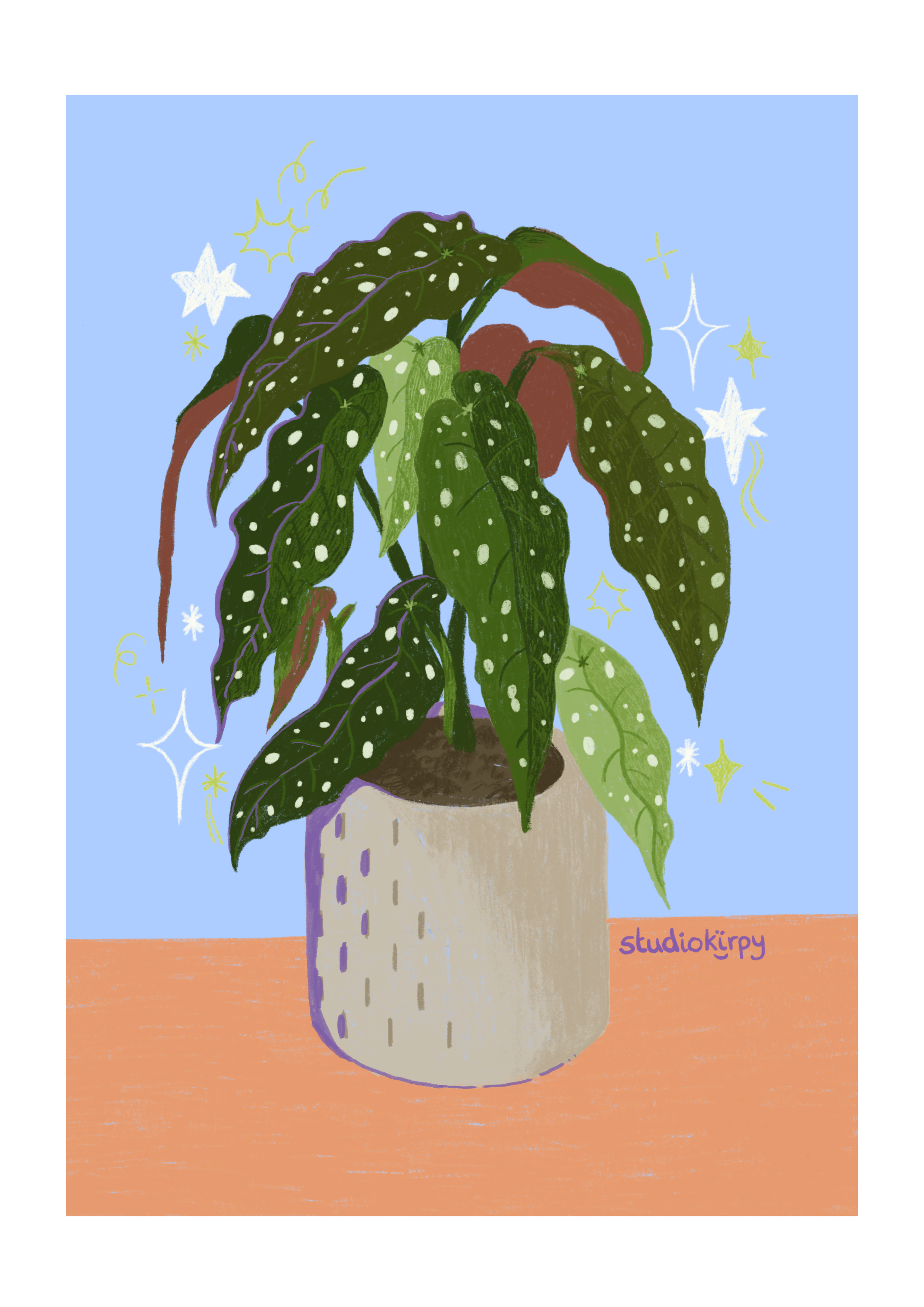 Painting of a potted houseplant with large, darkly-veined green leaves with white spots, set against a pastel blue background with star and sparkle motifs, on an orange surface, signed 'studiokirpy'.