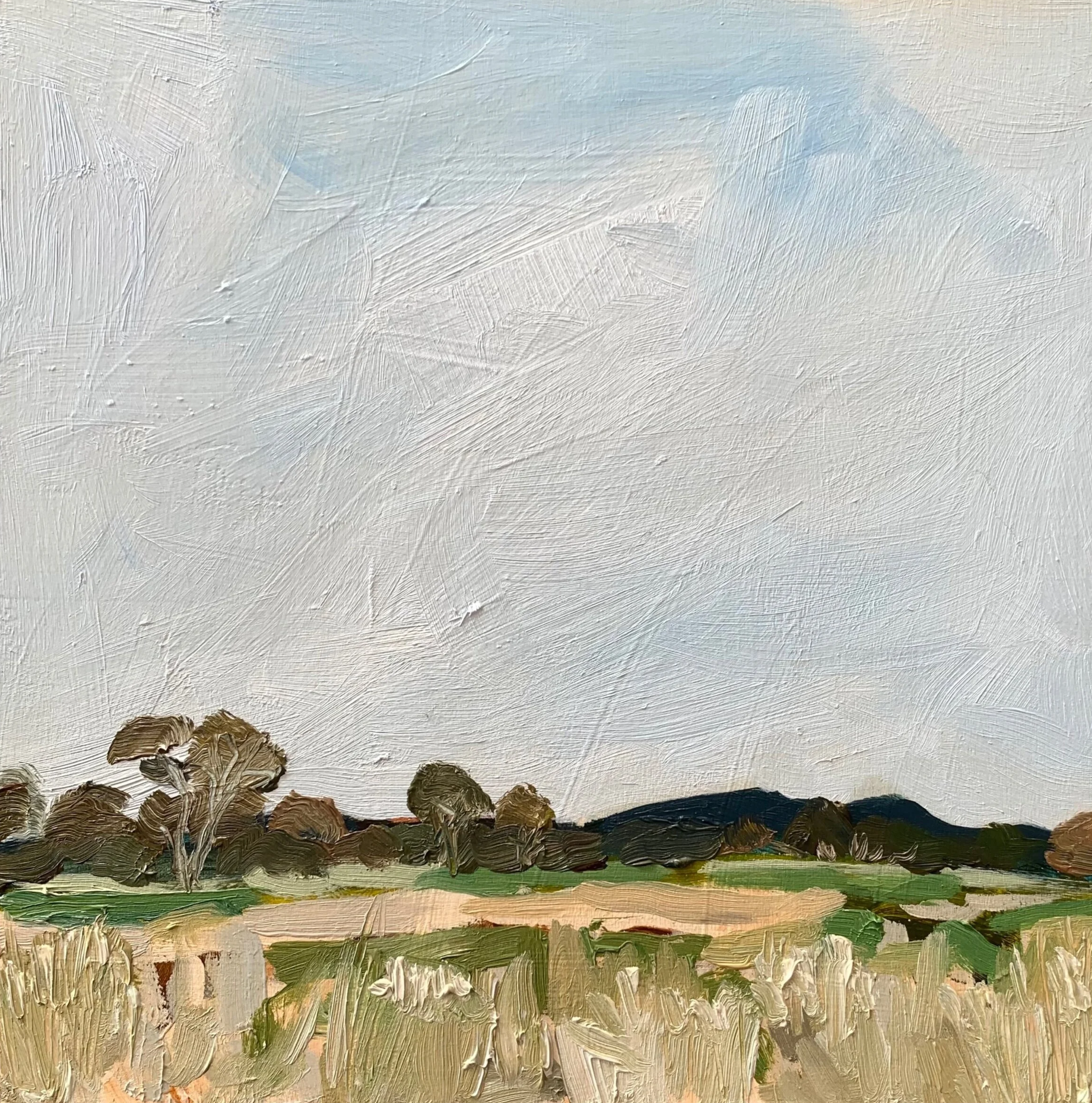 Impressionist painting of a rural landscape with trees, open fields, and a cloudy sky.