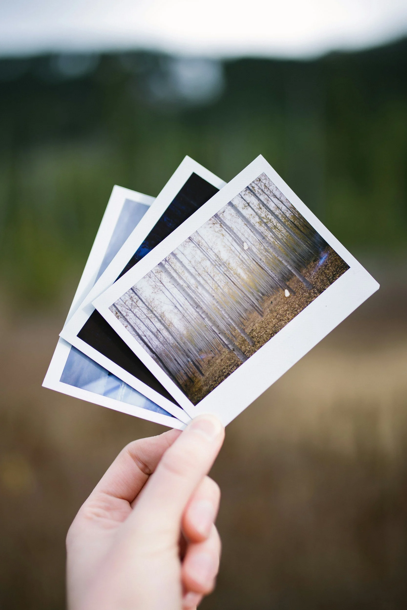 Hand holding four printed photographs of a forest with trees and a path, fanned out in front of a blurred outdoor background.