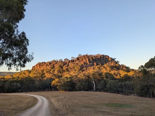 A dirt road curves through an open field towards a forested hill under a clear blue sky.