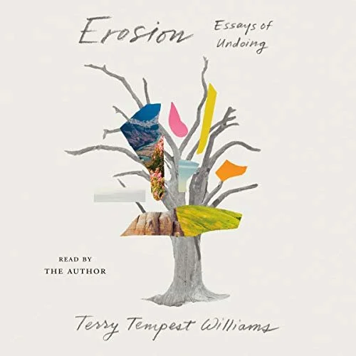 Erosion by Terry Tempest Williams