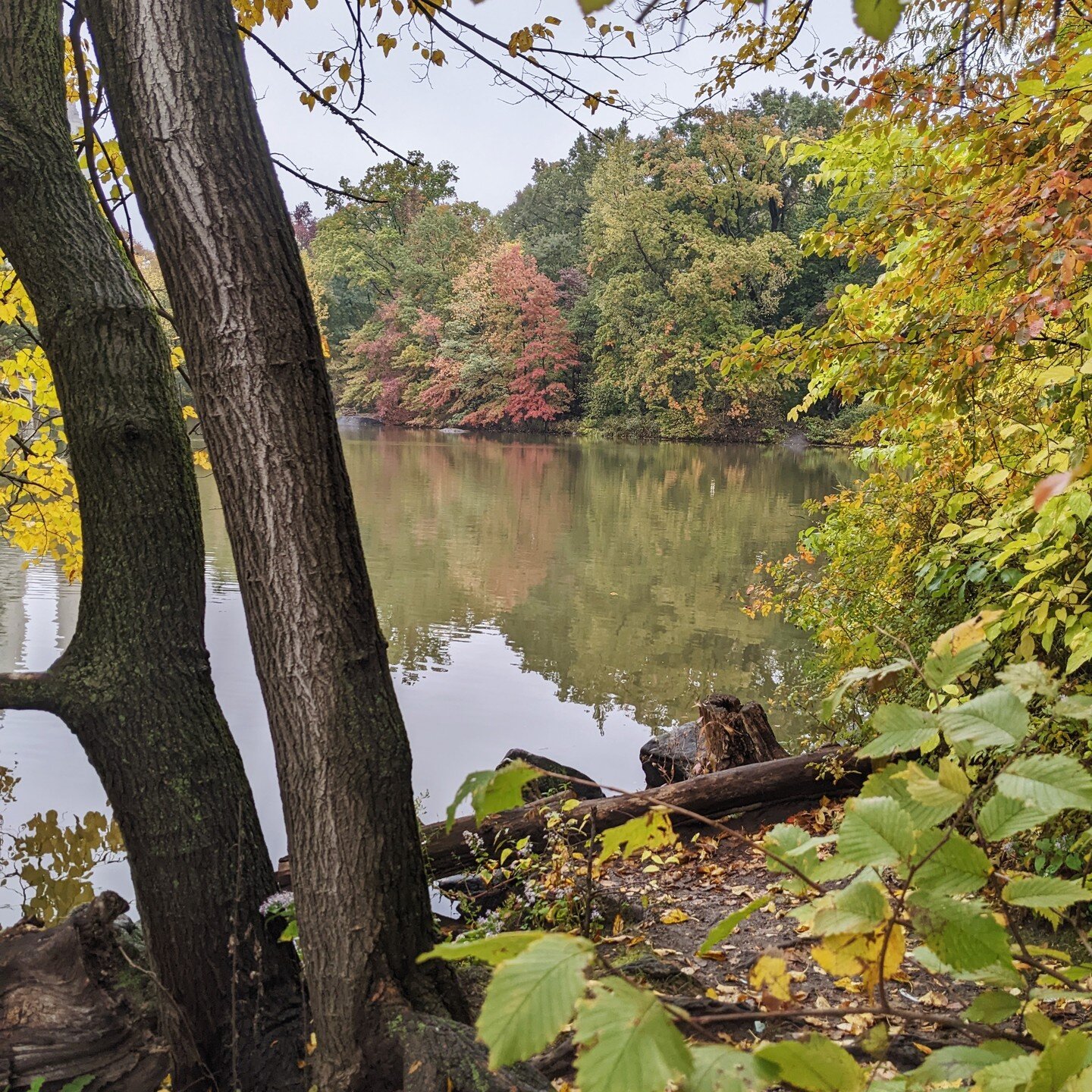 Hello friends. As this season of Fall has ushered itself in with colors full of depth, songs of birds on their way to a new home, fewer hours of sunlight, and a natural preparation for winter, I find myself thinking a lot about grief. In particular, 