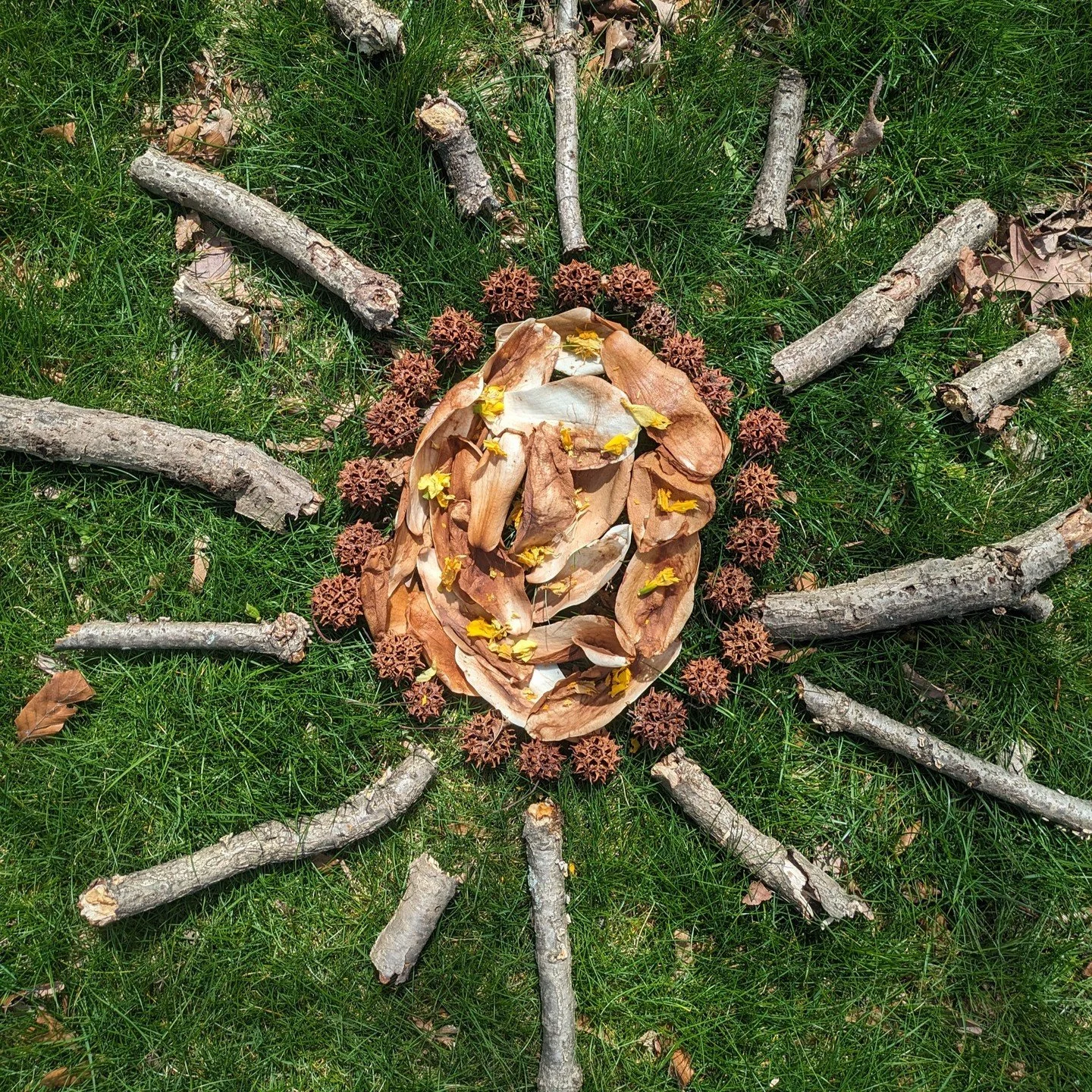 Gazed at the Sun (with protection!) and the Moon and remembered how good life is here on Earth. 

#solareclipse2024 #awe #celestial #interconnectedness #shareearthstories #wearemadeofstars #loveourplanet #lifeisagift #thankyouearth