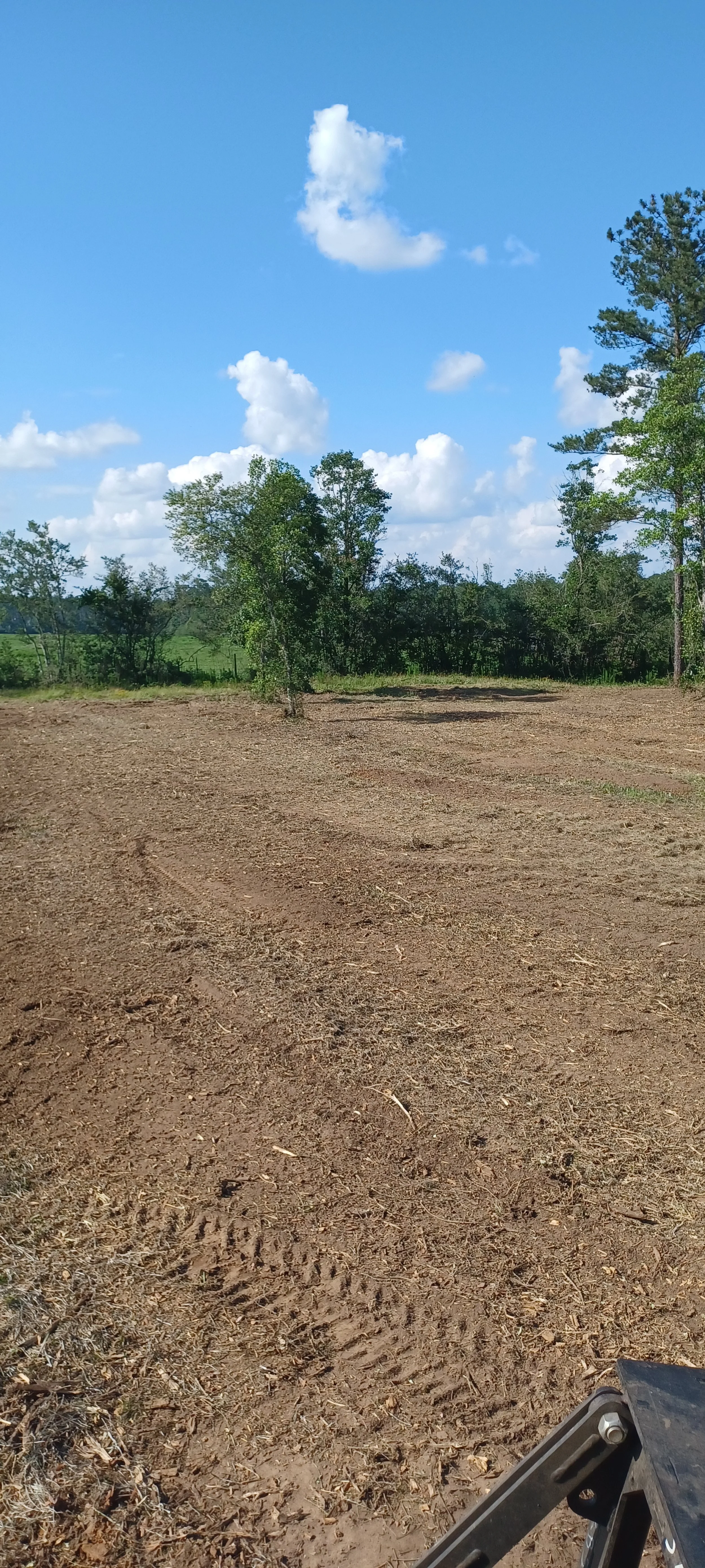 Land clearing in Silverhikk, AL  | fresh skid steer tracks after forestry mulching opened up an overgrown area in a field by RBS Landworks.
