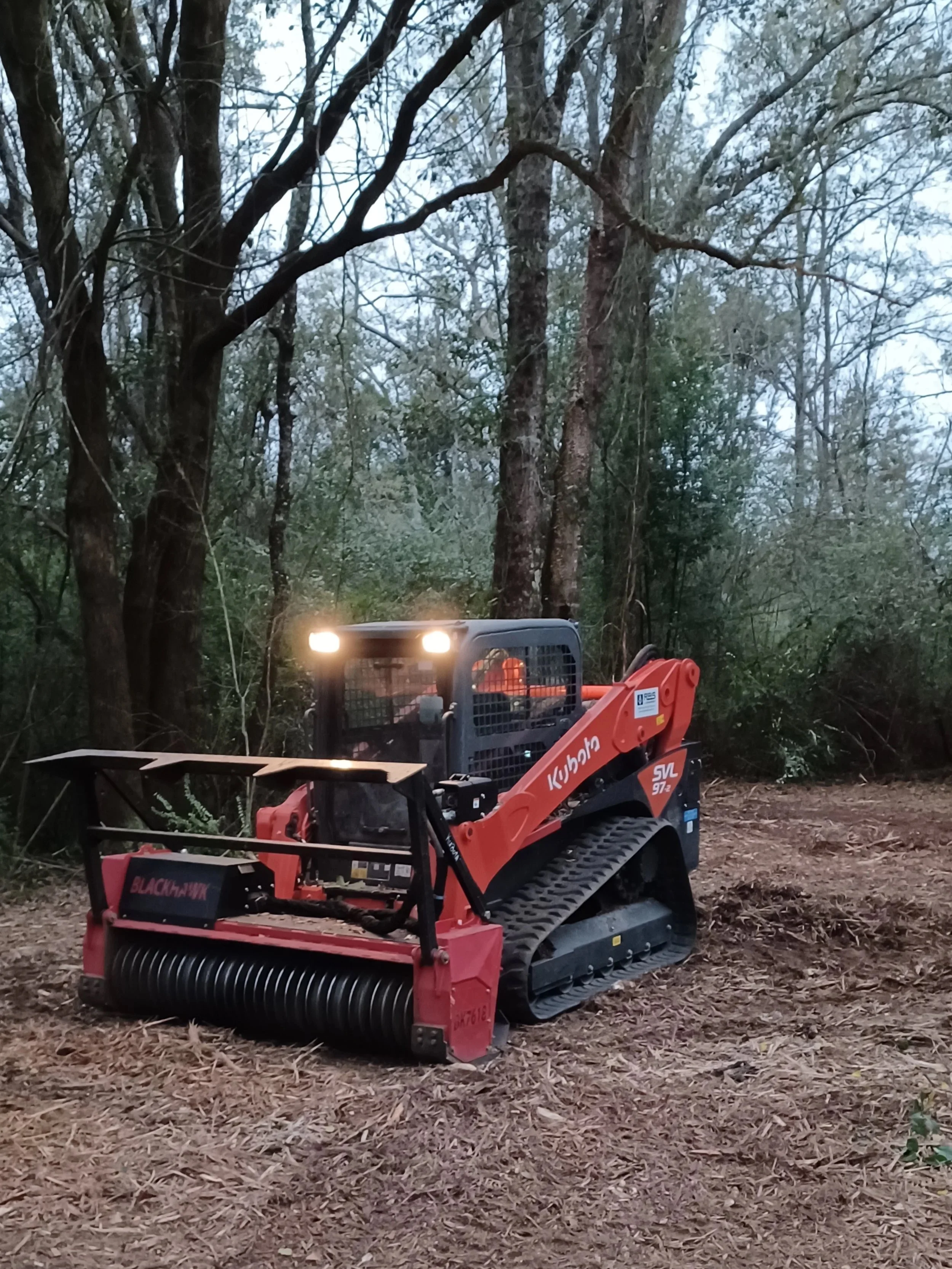Forestry Mulcher in Baldwin County Alabama