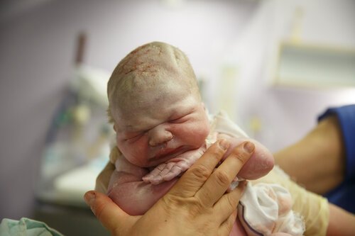 Birth Choices And Birth Provider Bias.