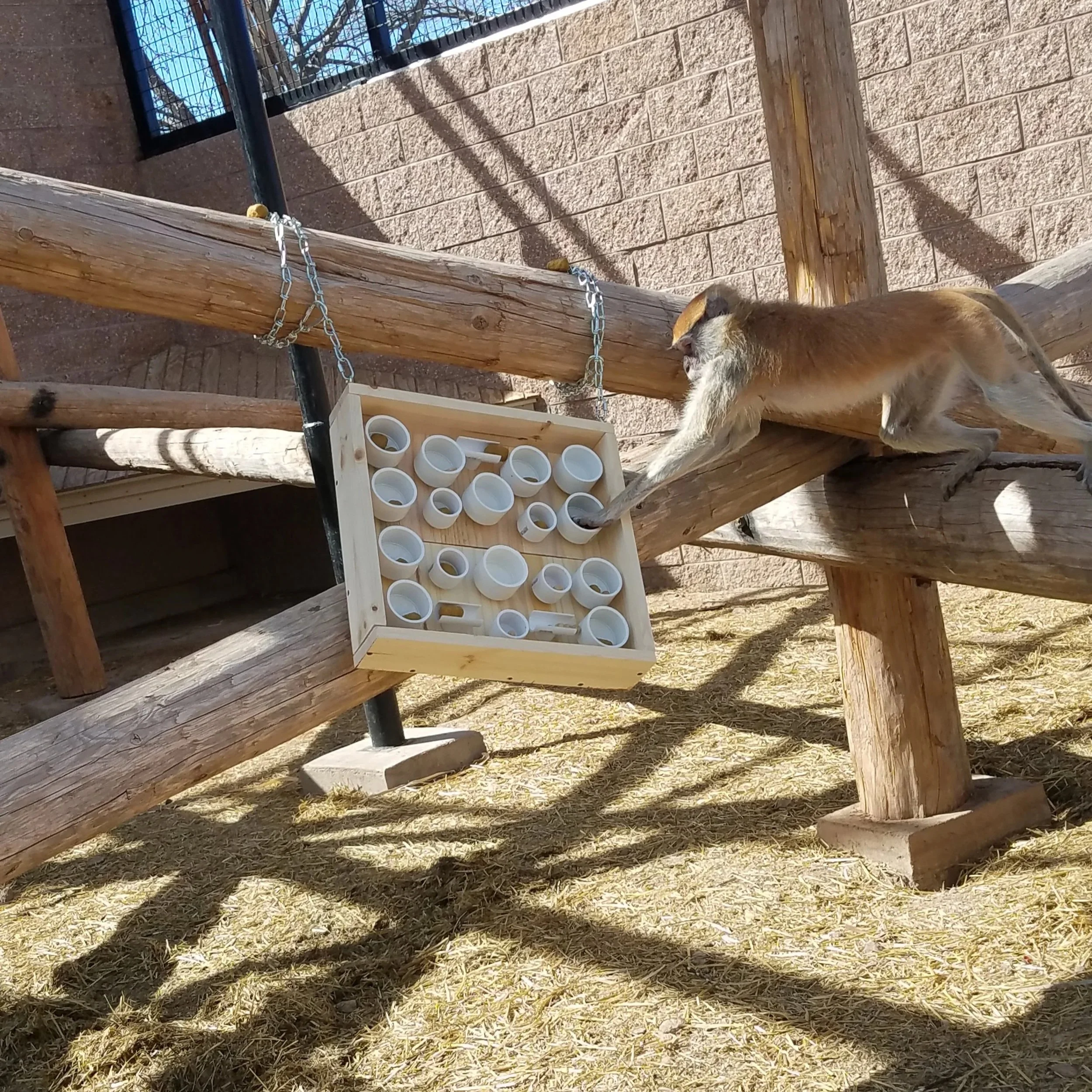20180319_151956.jpg