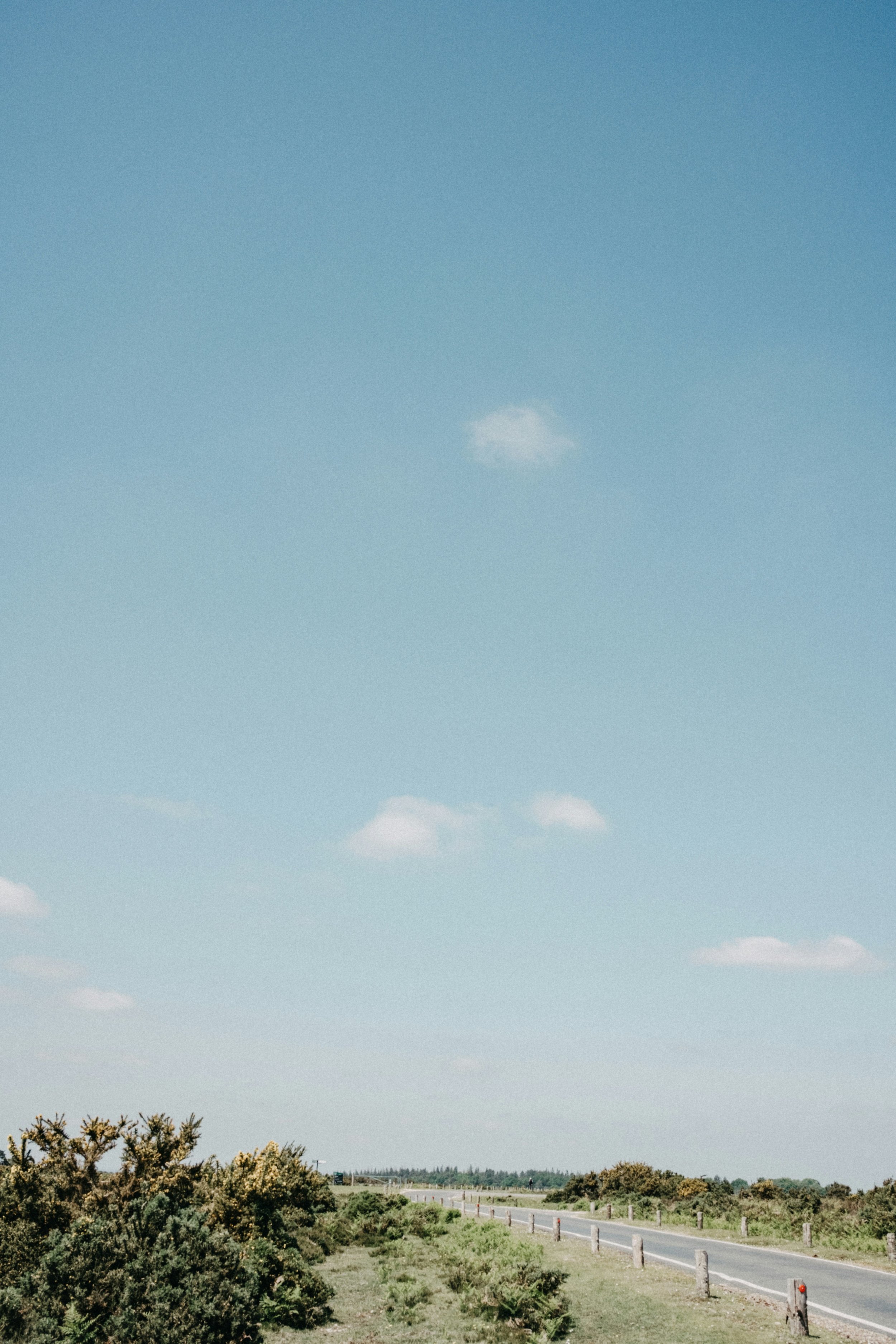 A country road representing the path to calm through therapy for burnout in Windsor Ontario