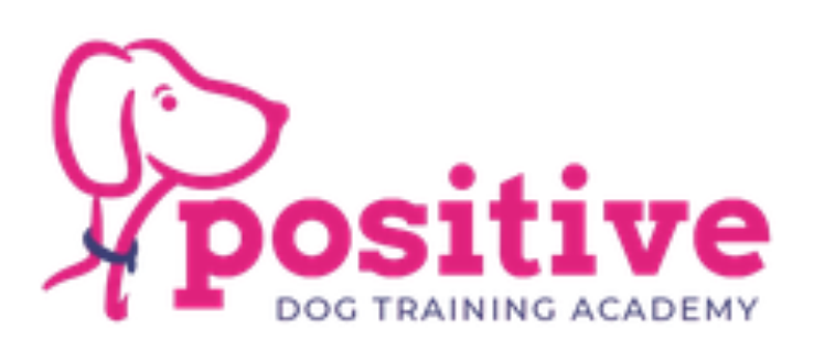 New Ockley Dog Classes, September