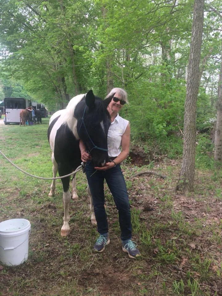 Cheryl Ann Gregg, Painting & Illustration