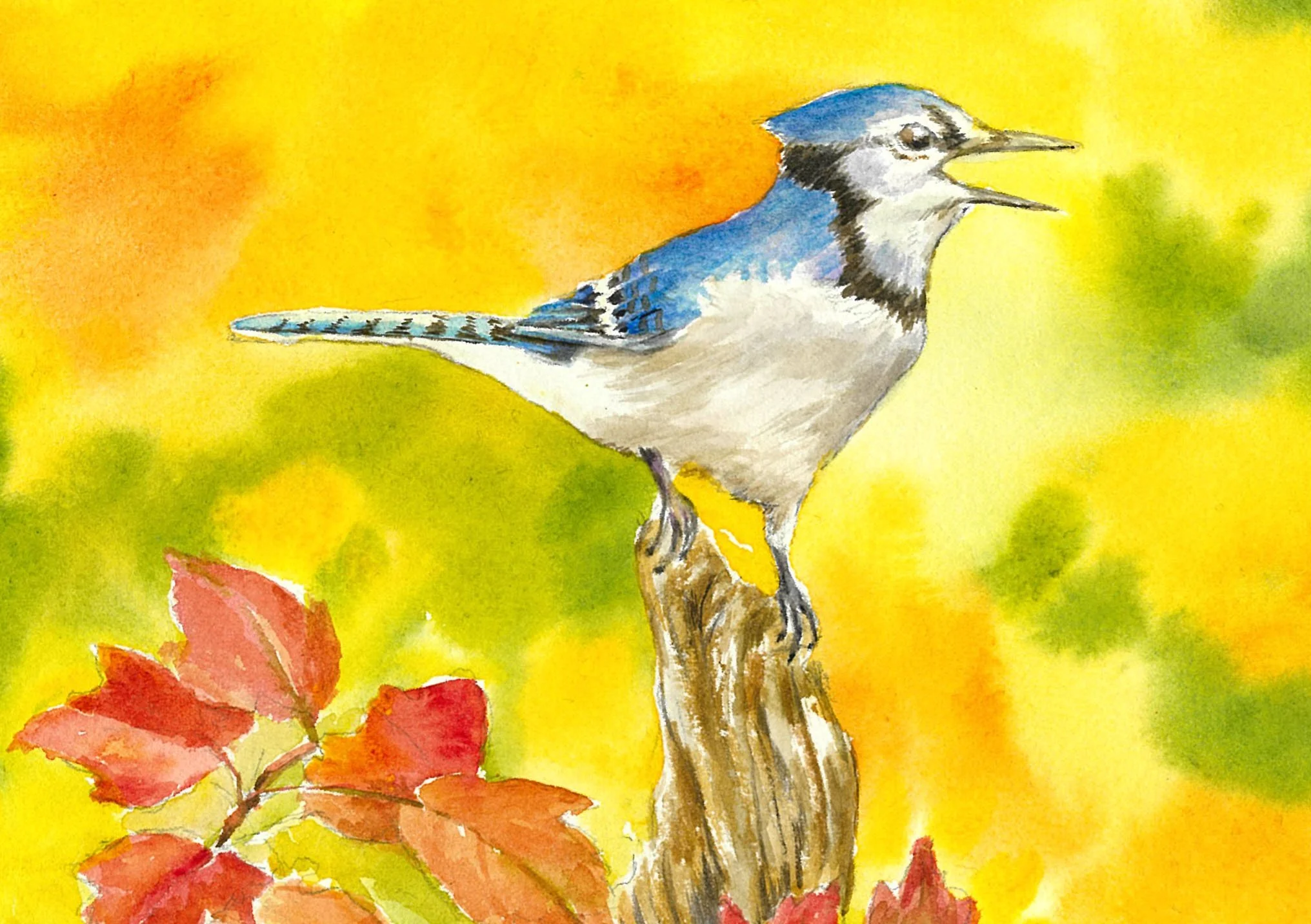 Bluejay in fall foilage painting by Joanne Shank