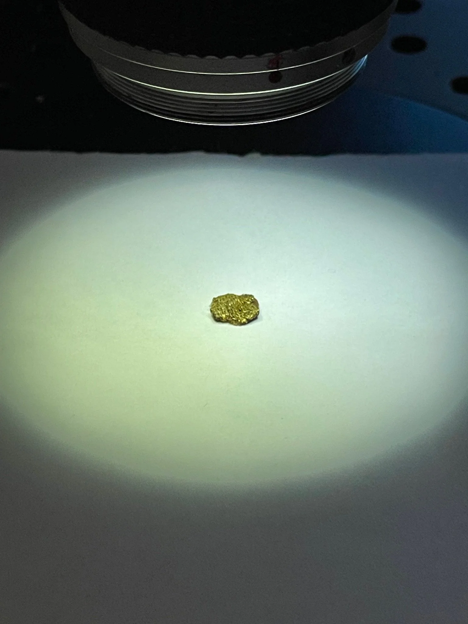 Wie man einer verborgenen Welt ihre Geheimnisse entlockt: Laborbesuch in Bamberg!