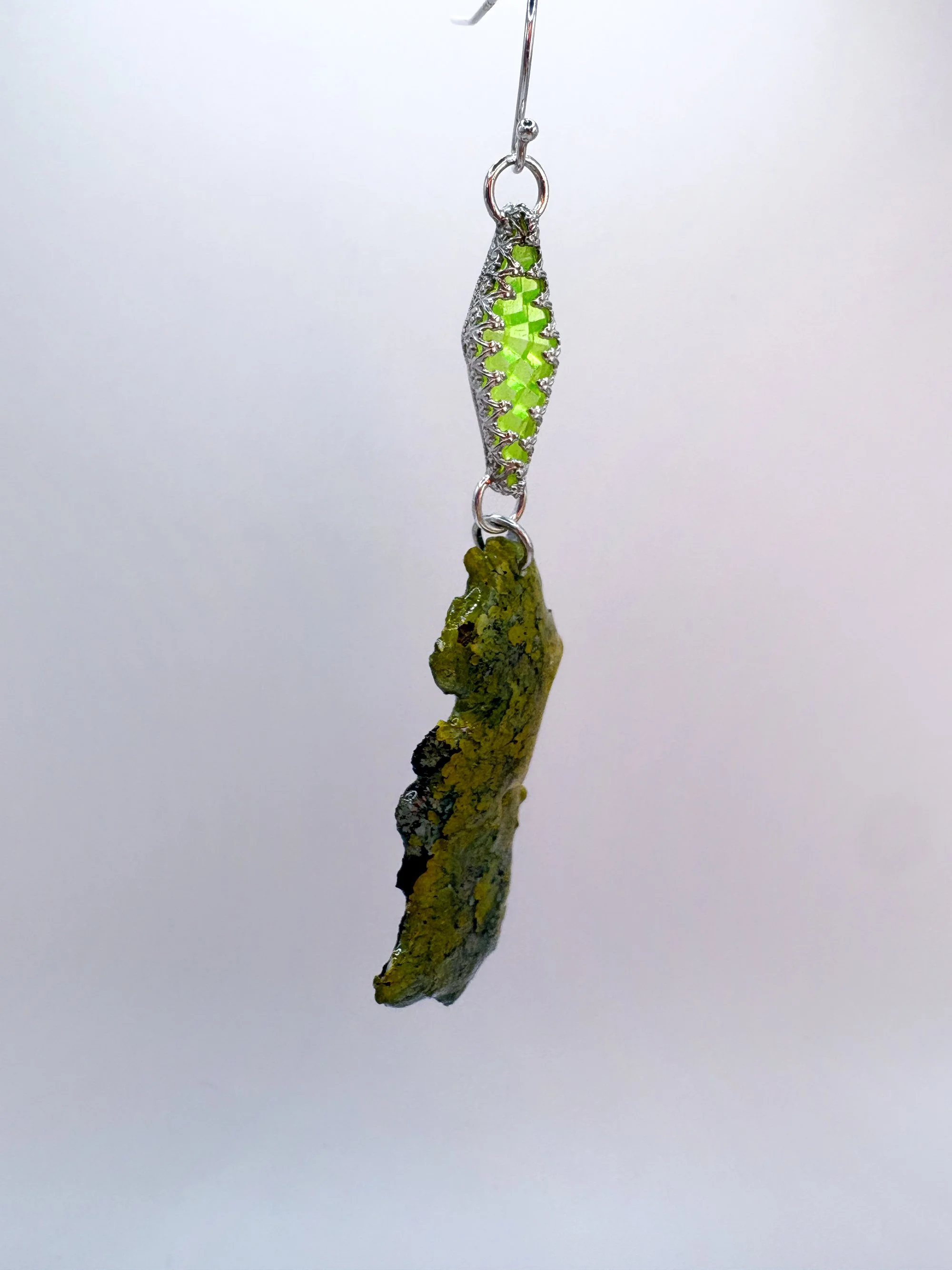 green lichen edited.jpg