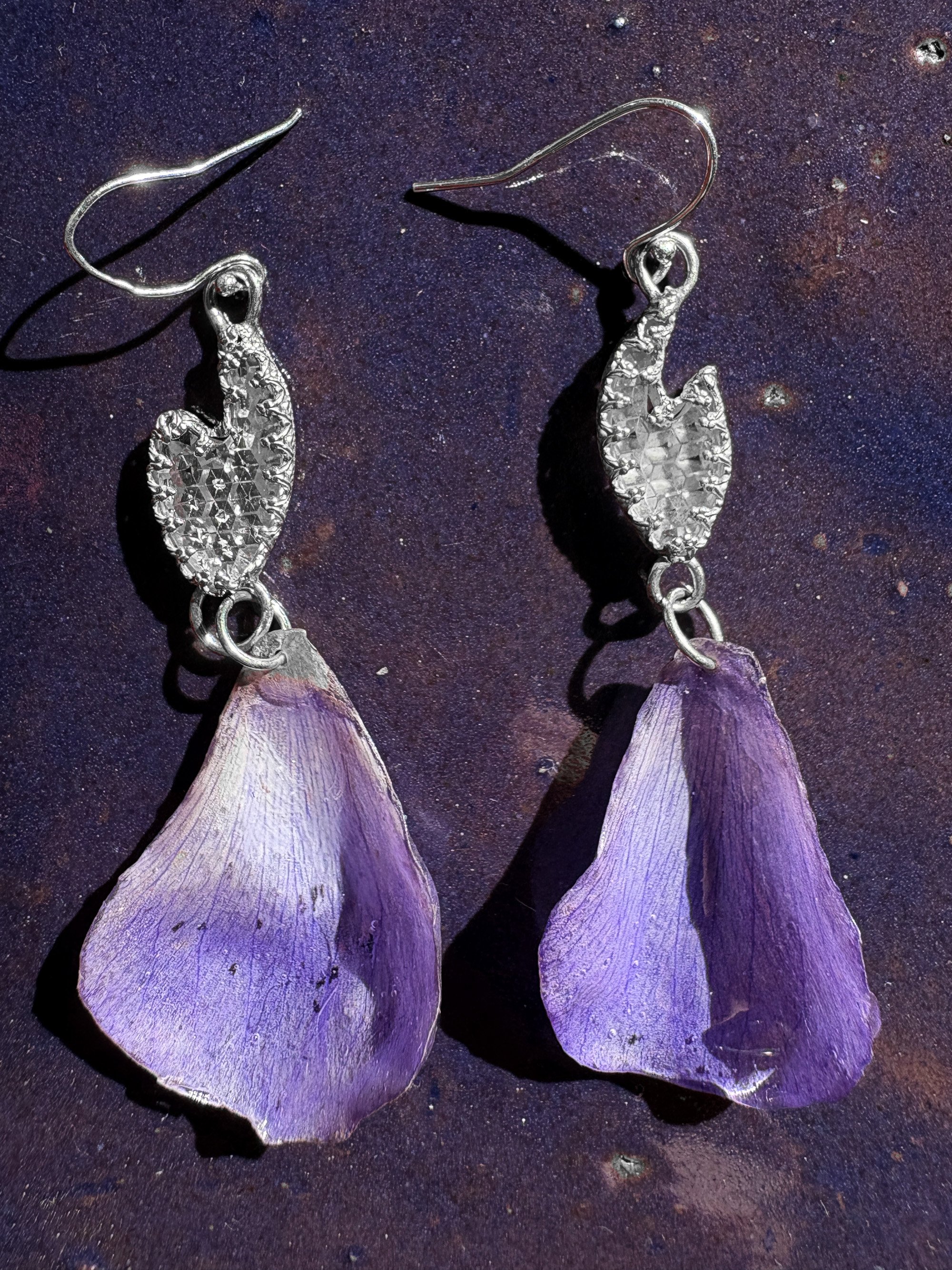 white tooth anemone edited.jpg