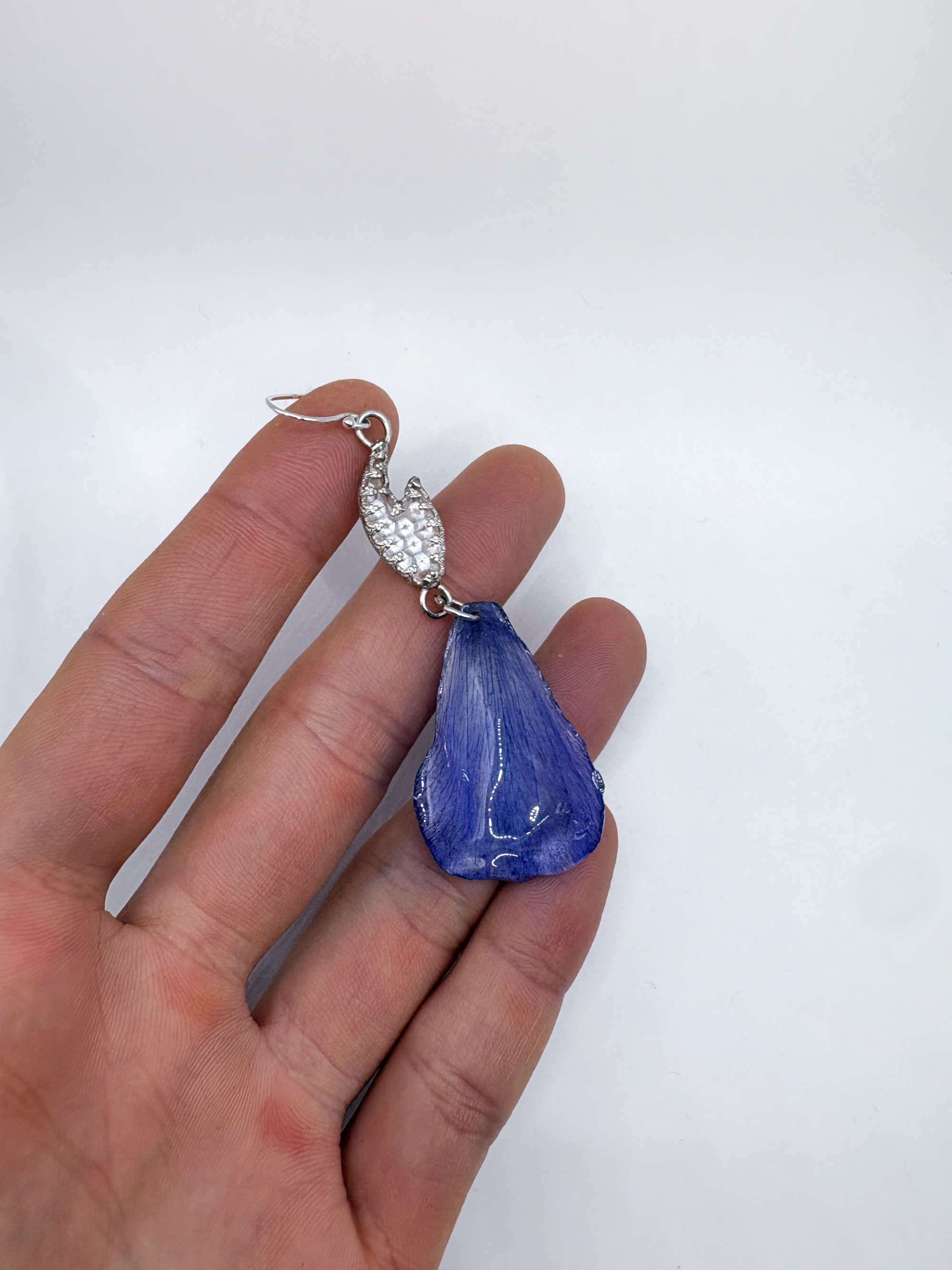 white tooth anemone edited 5.jpg