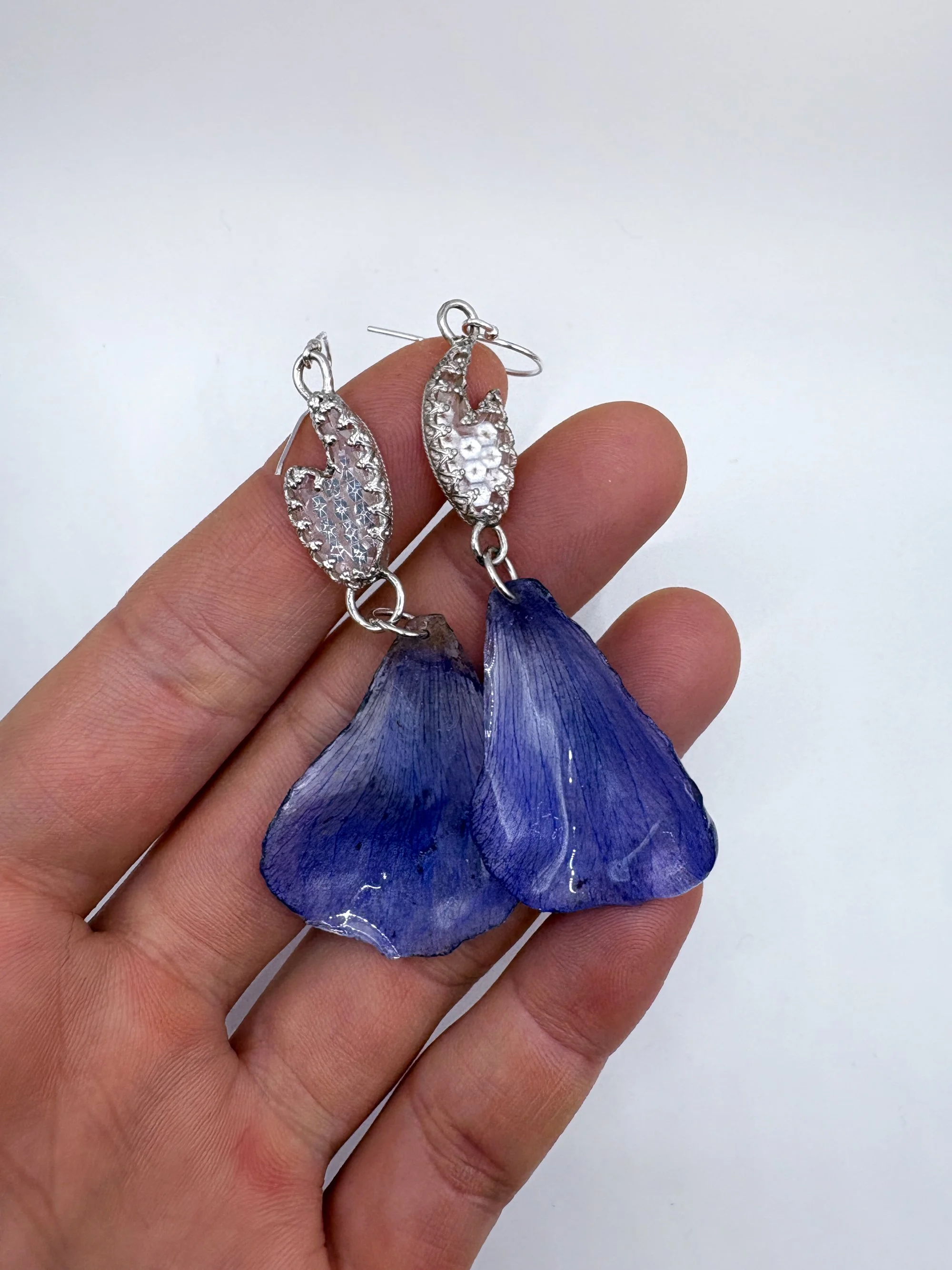 white tooth anemone edited 3.jpg