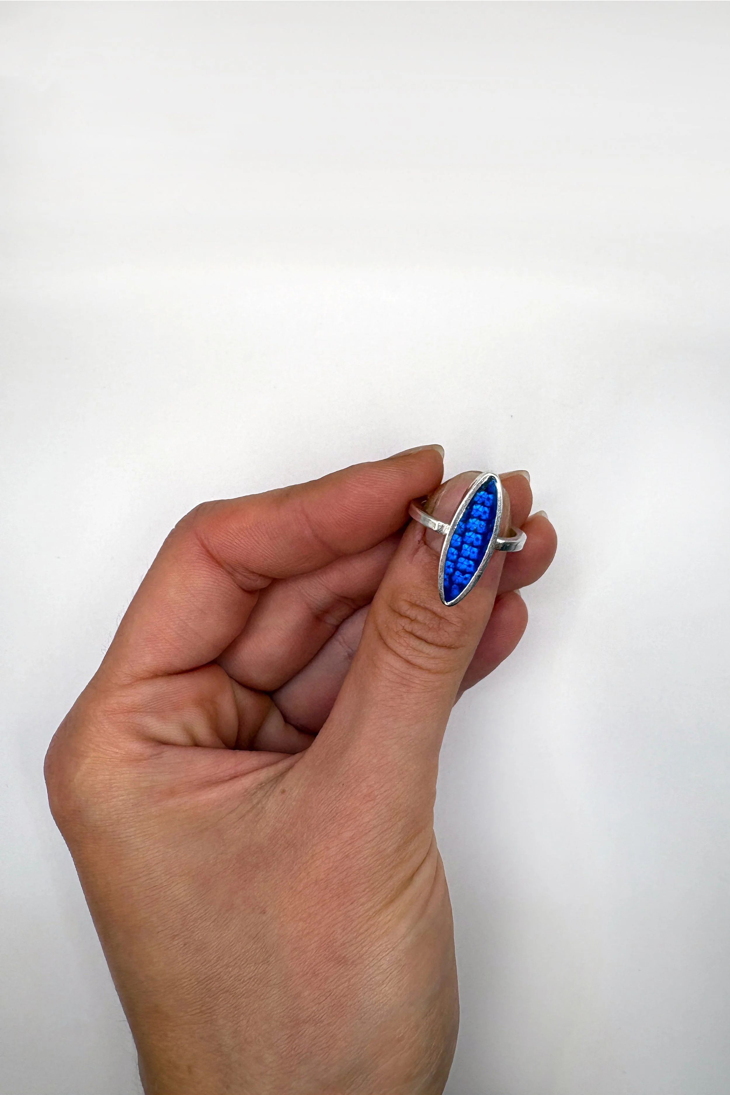 blue pill 2.jpg (Copy)