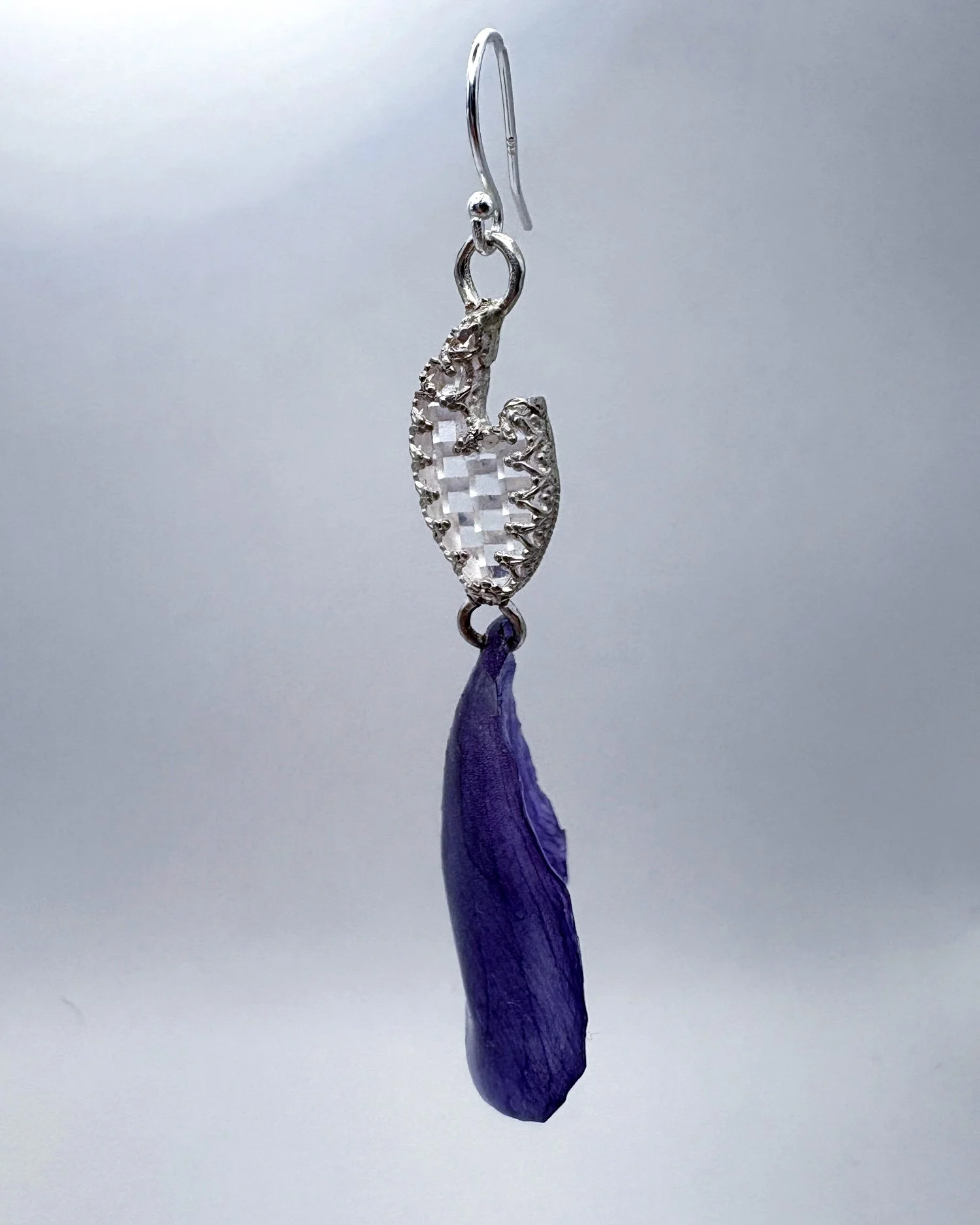 white tooth anemone 'mistral grape' edited 2.jpg