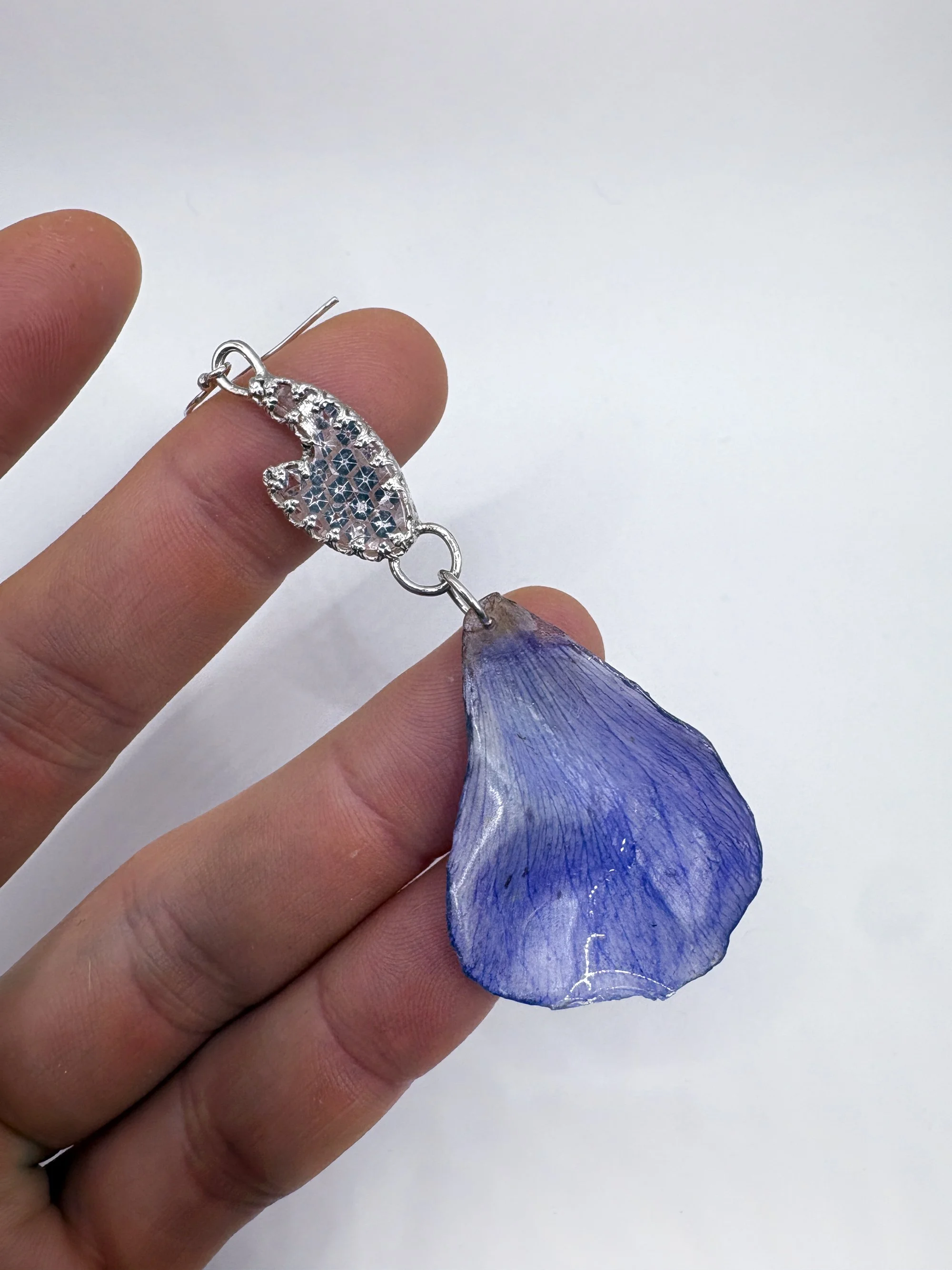 white tooth anemone edited 2.jpg