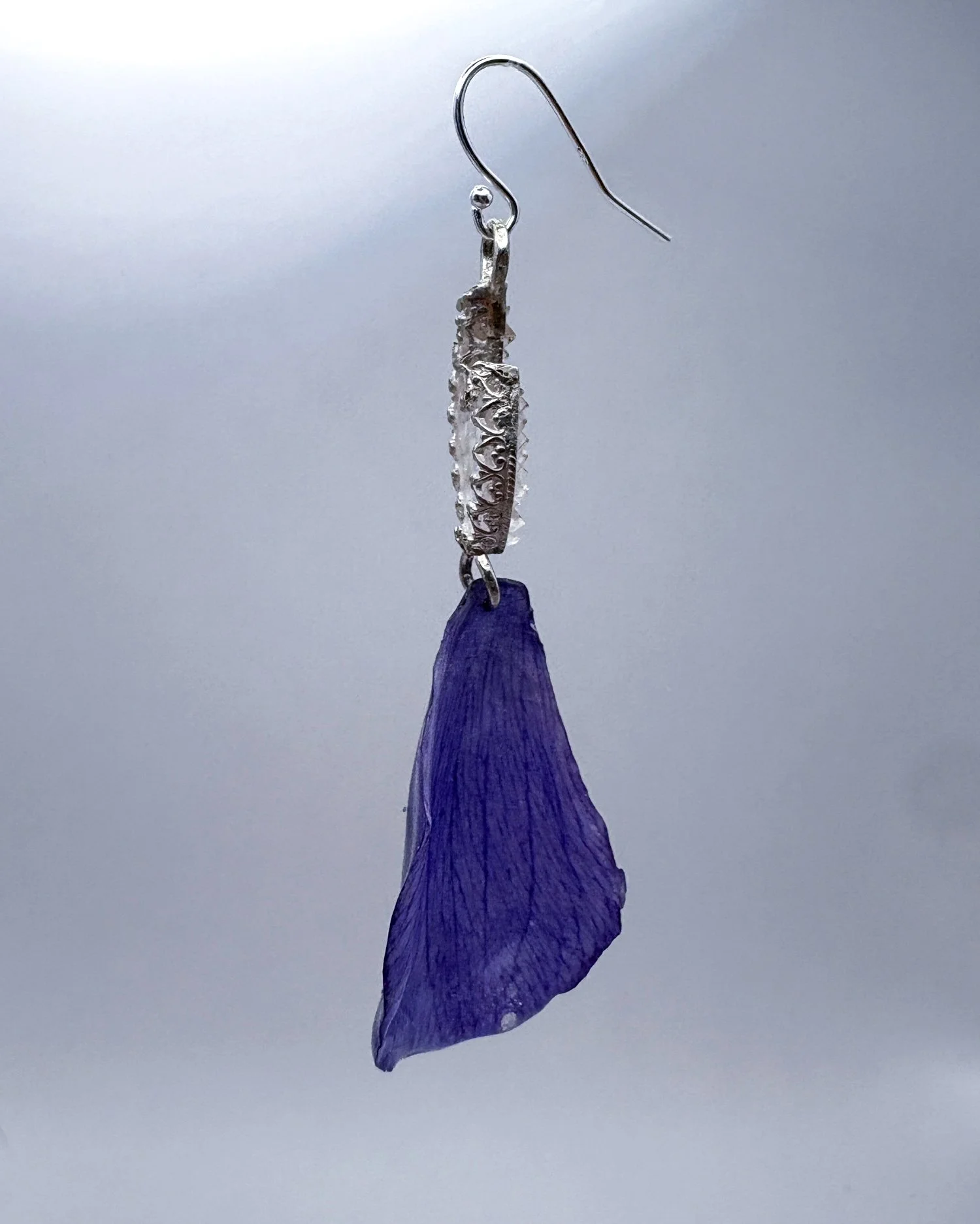 white tooth anemone 'mistral grape' edited.jpg