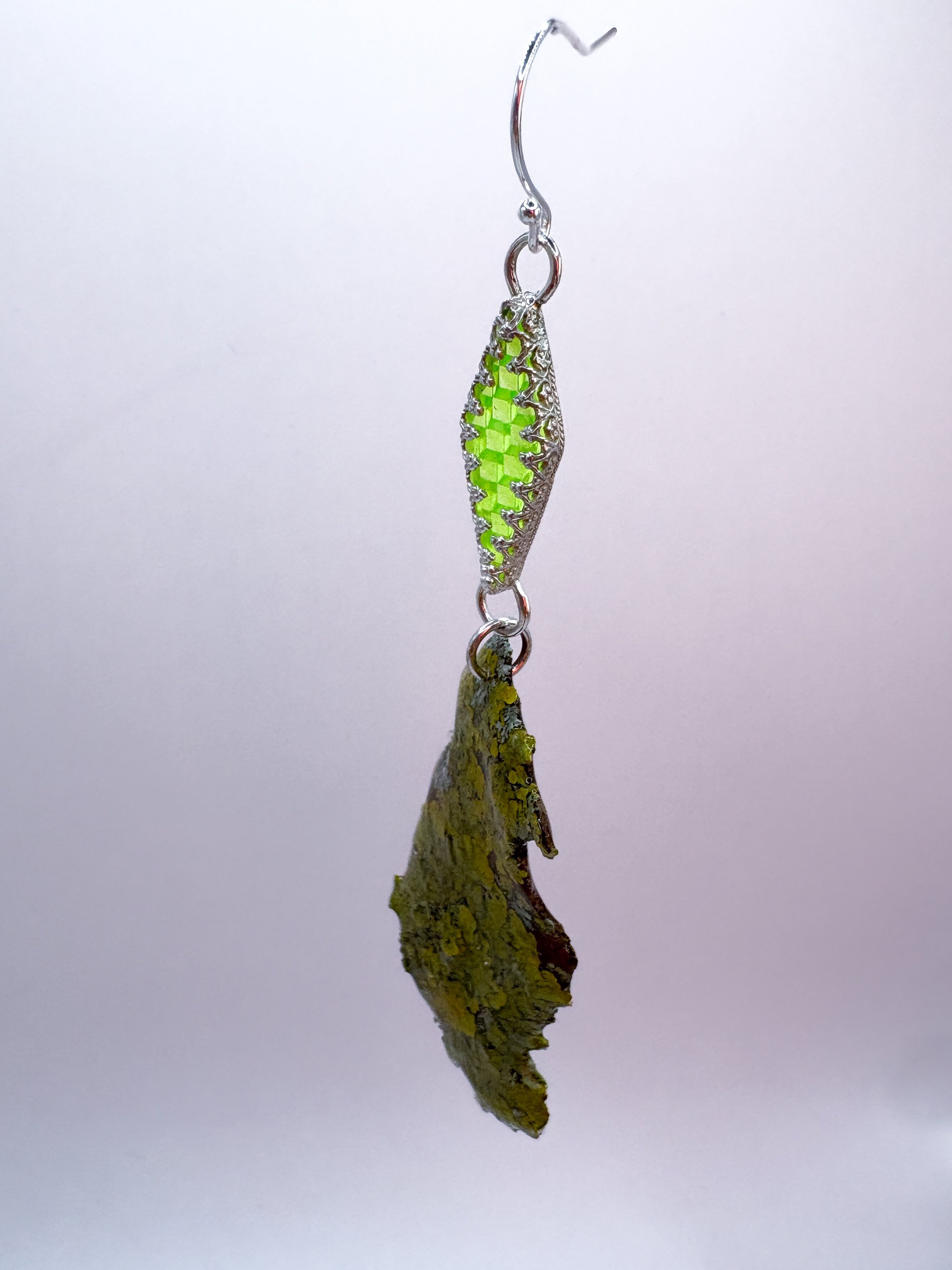 green lichen edited 6.jpg