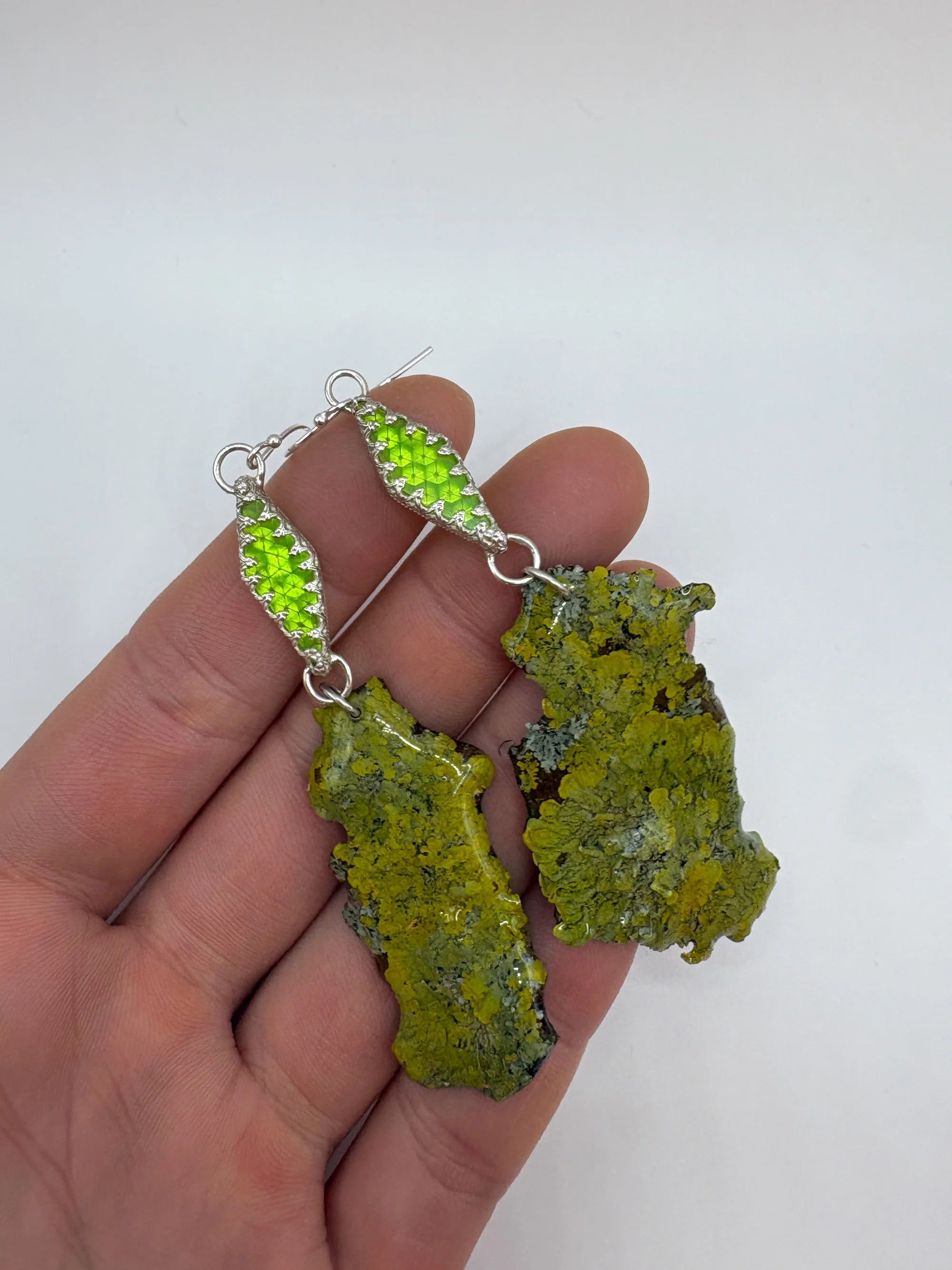 green lichen edited 2.jpg