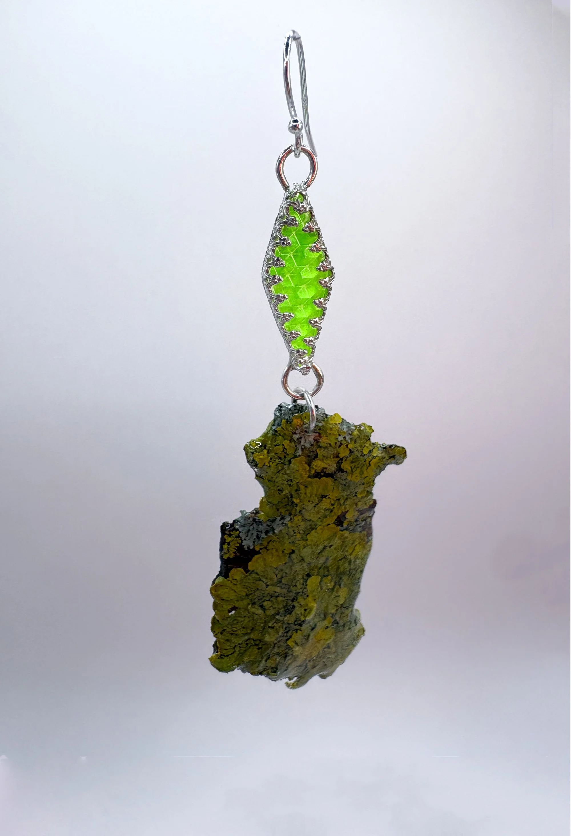 green lichen edited 5.jpg