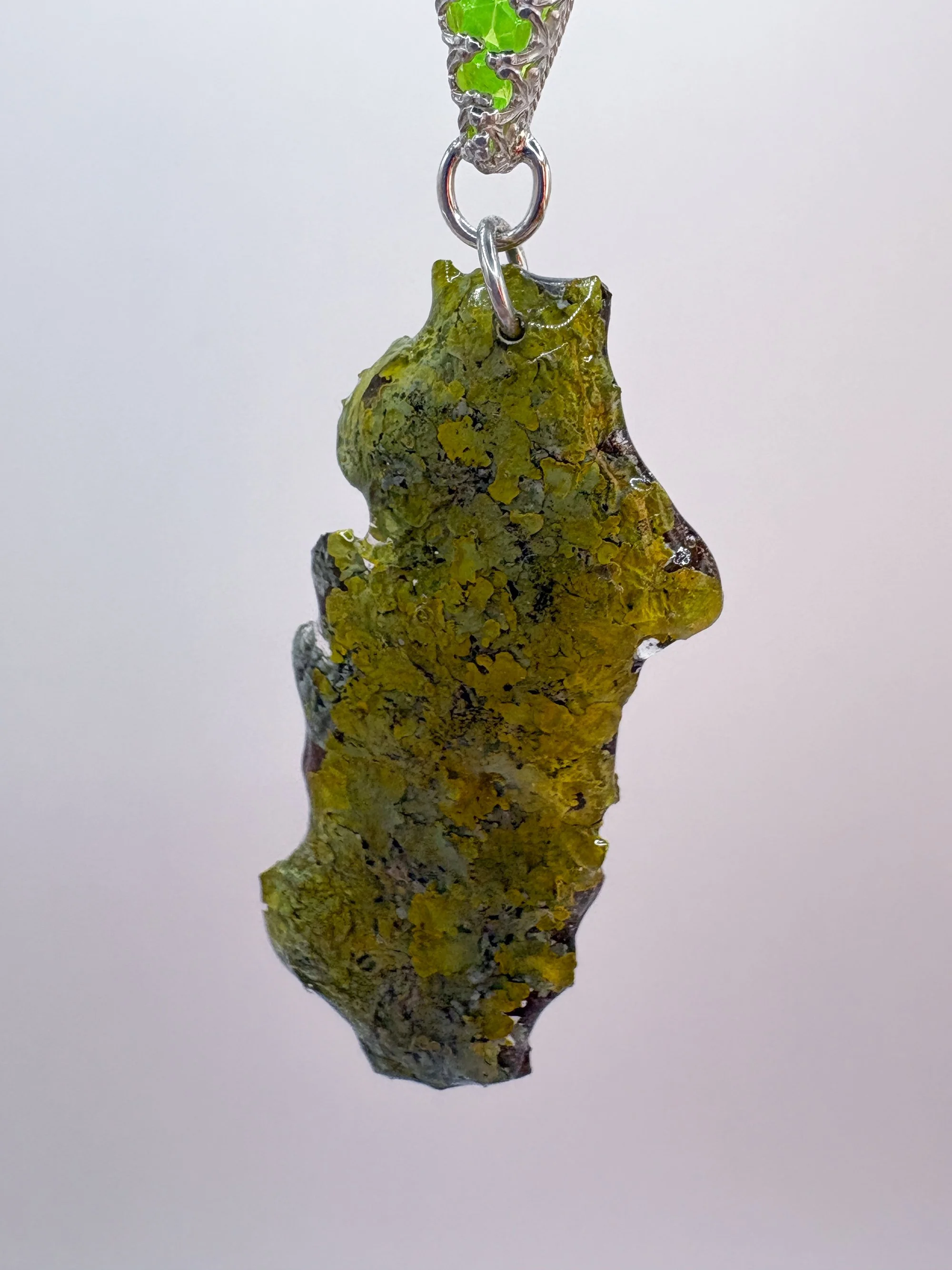 green lichen edtied 4.jpg