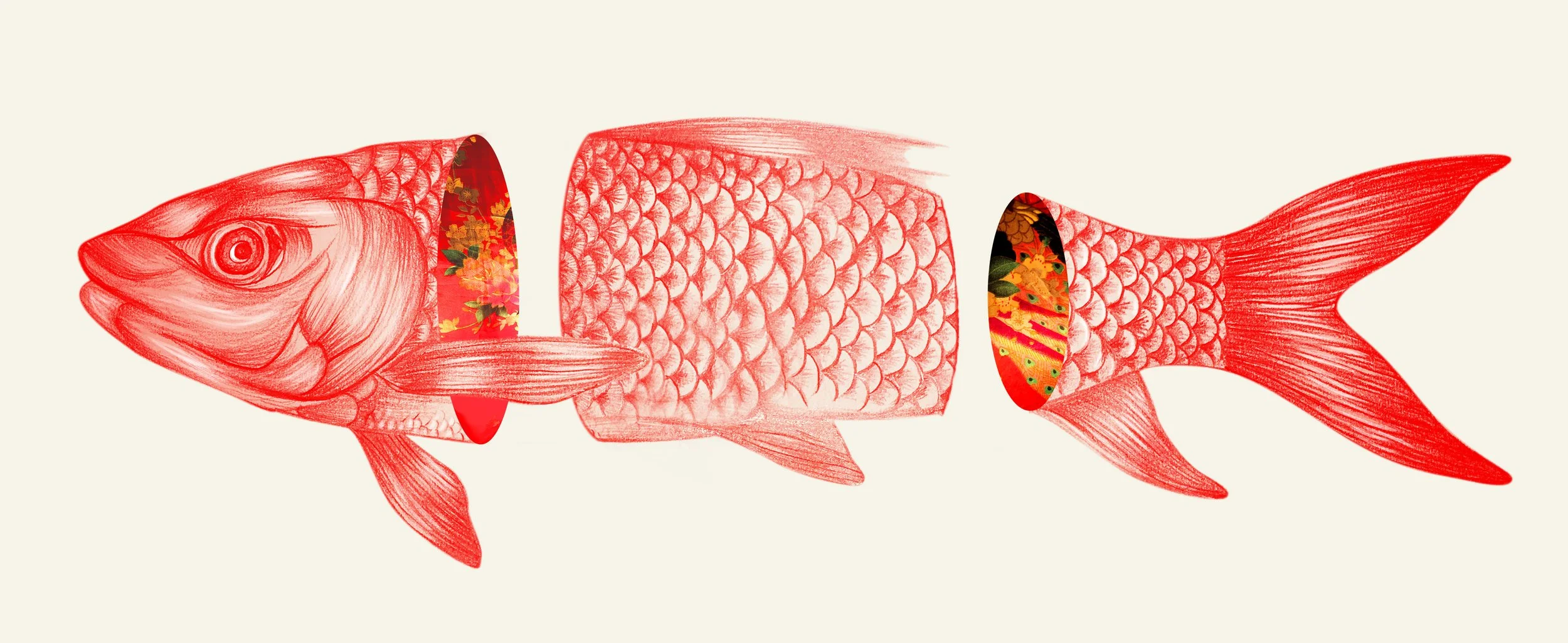 Illustration of a fish with its body cut into sections to reveal floral patterned interiors. By Nicole Vanner.