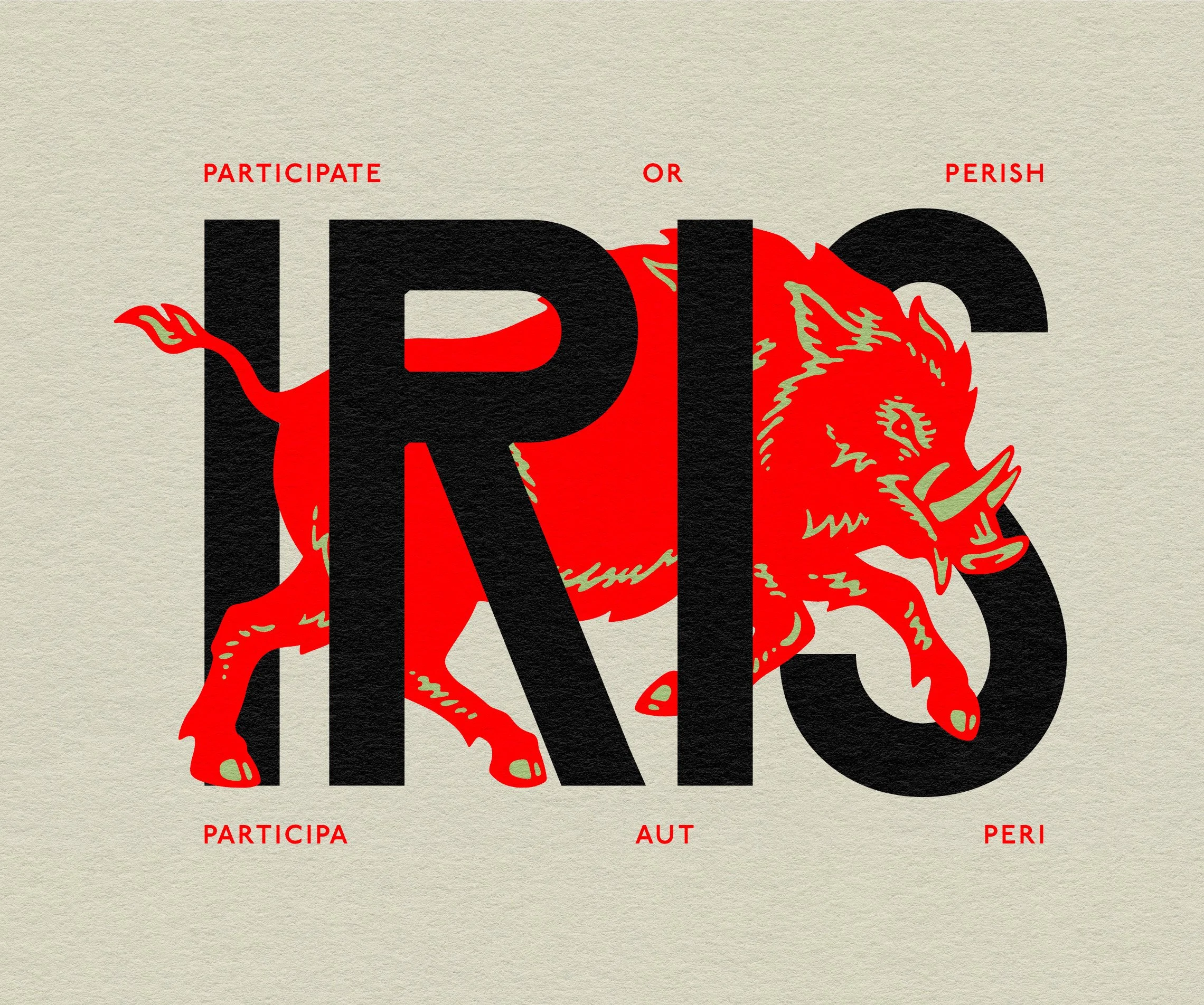IRIS Rebrand