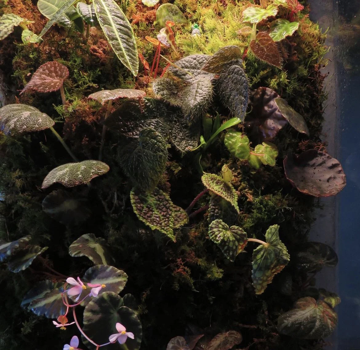 greenhouse cabinet close up.jpeg