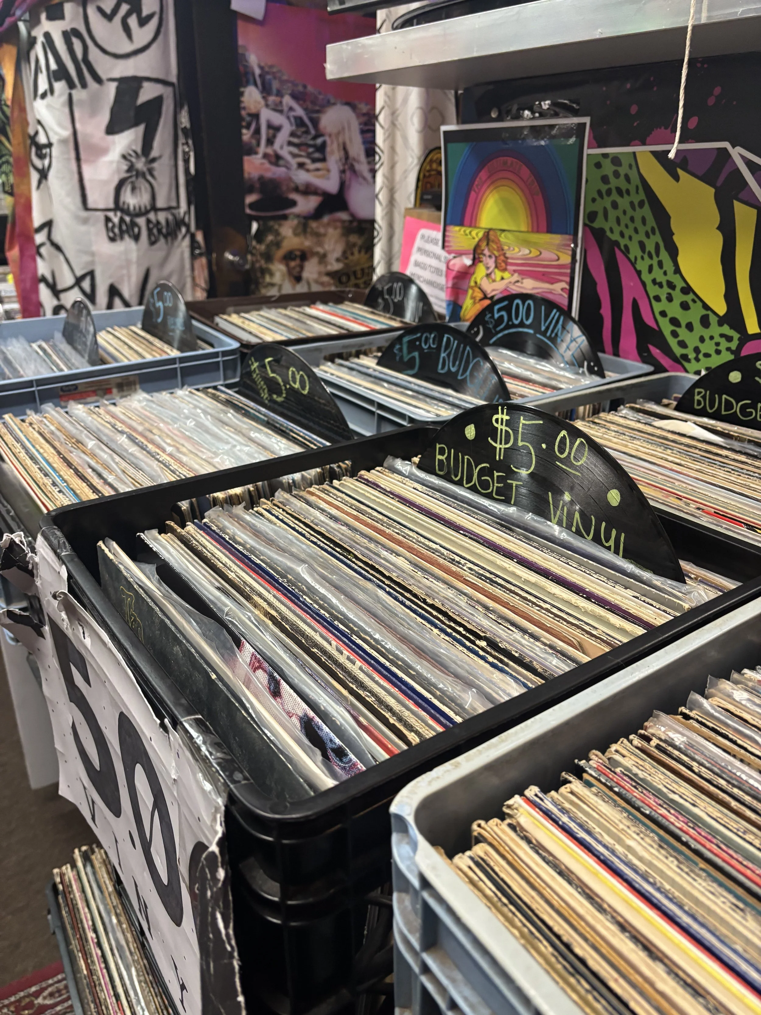 “$5 budget vinyl” record bins inside repo records   