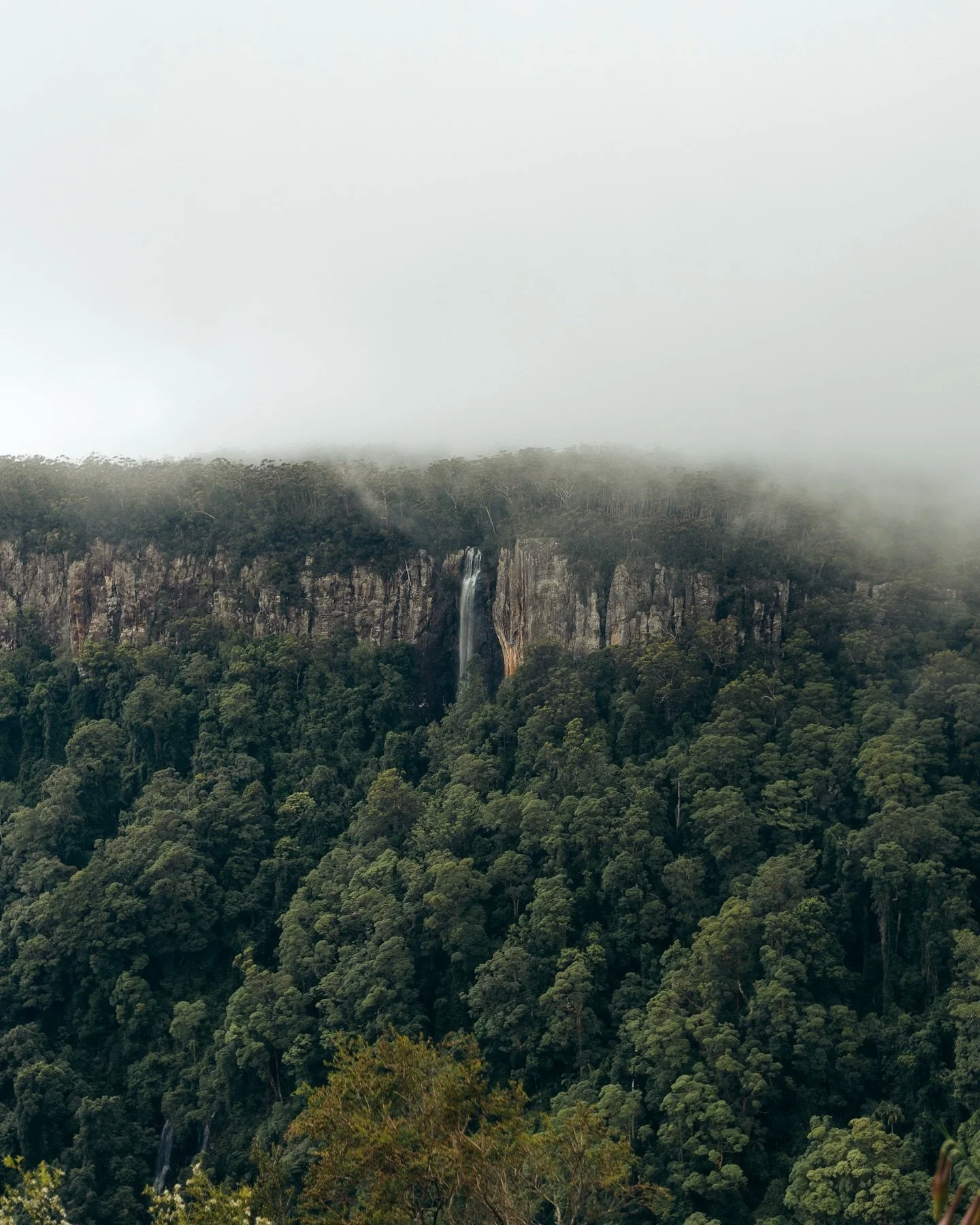 Springbrook National Park, QLD