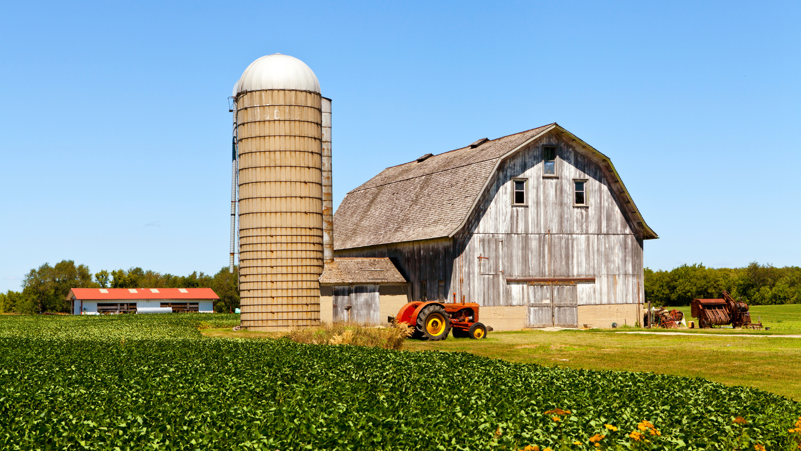 Midwest Biomanufacturing Summit&nbsp;