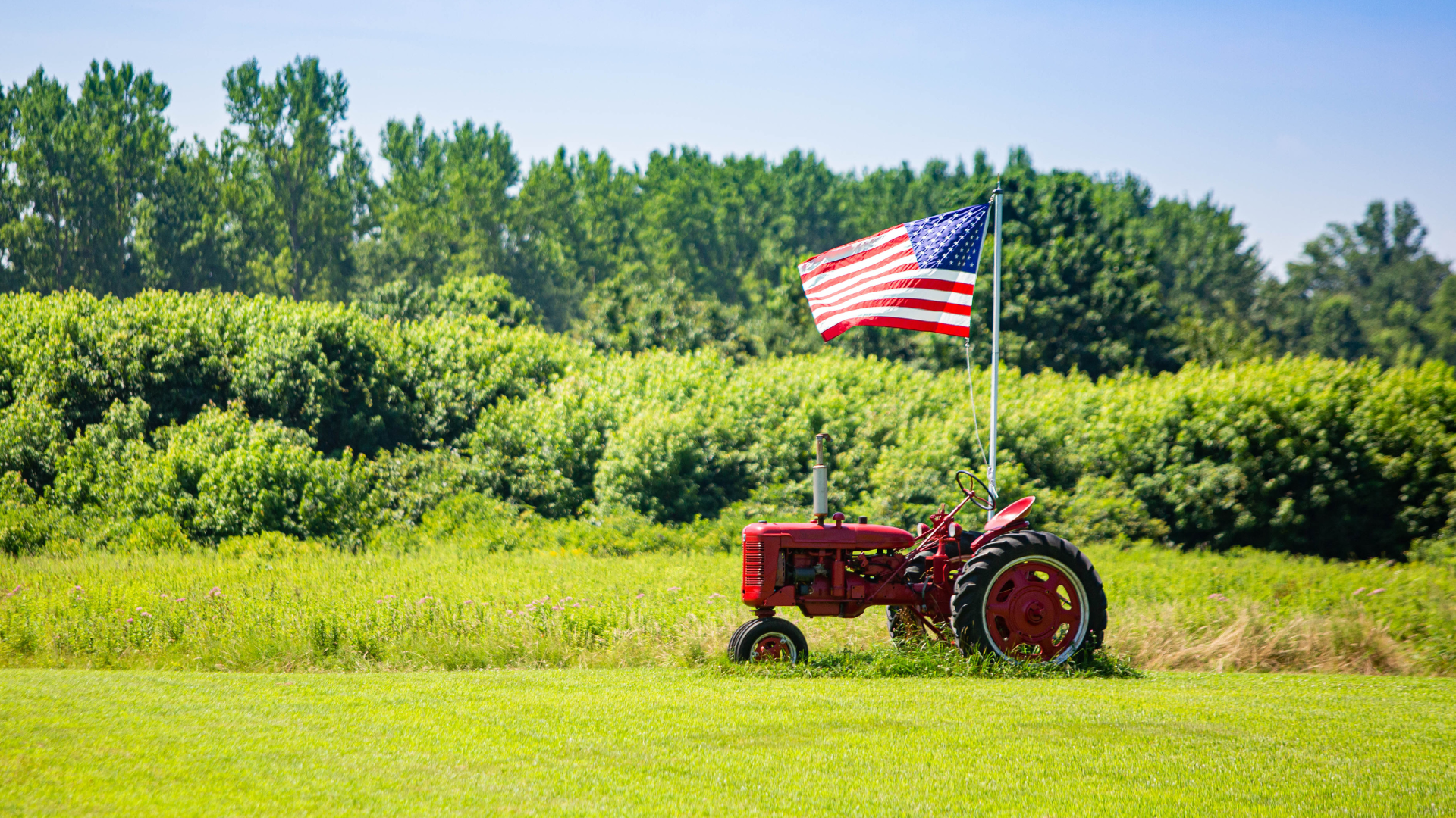 BioMADE Webinar Series — Understanding the Farm Bill: Biorefinery, Renewable Chemical, and Biobased Product Manufacturing Assistance Program