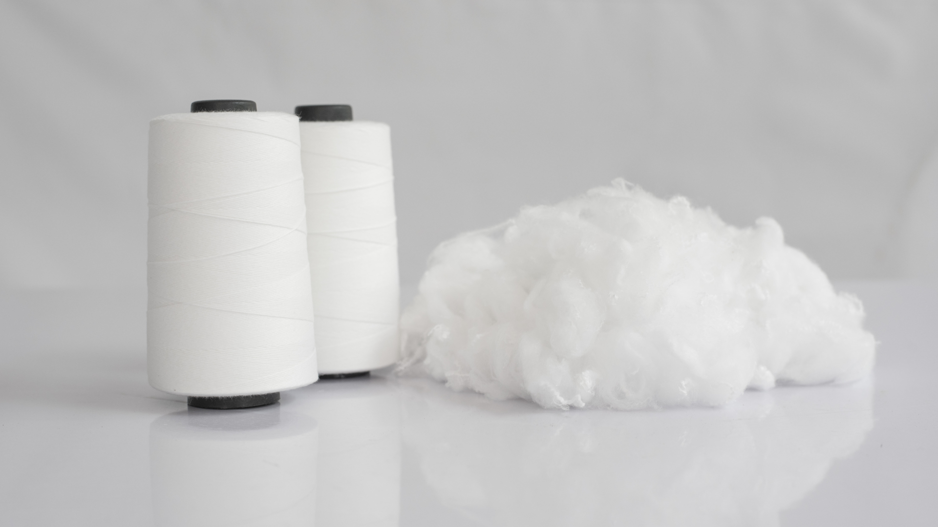 Application Workshop: Fibers