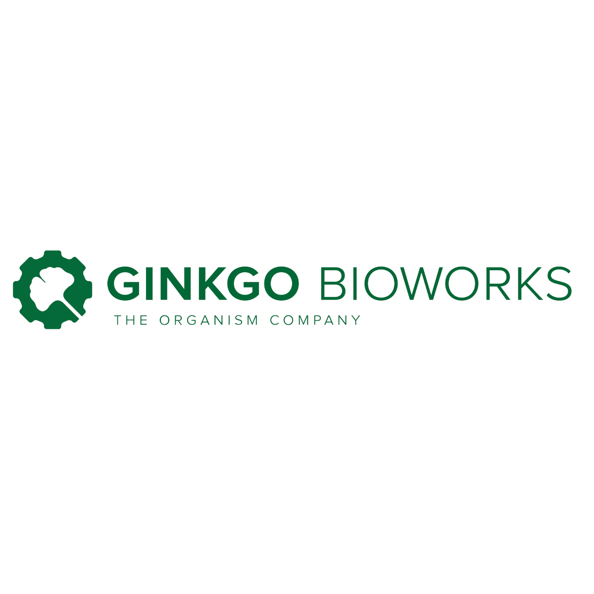 Ginkgo.png