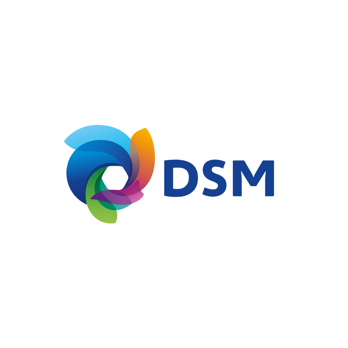 DSM.png