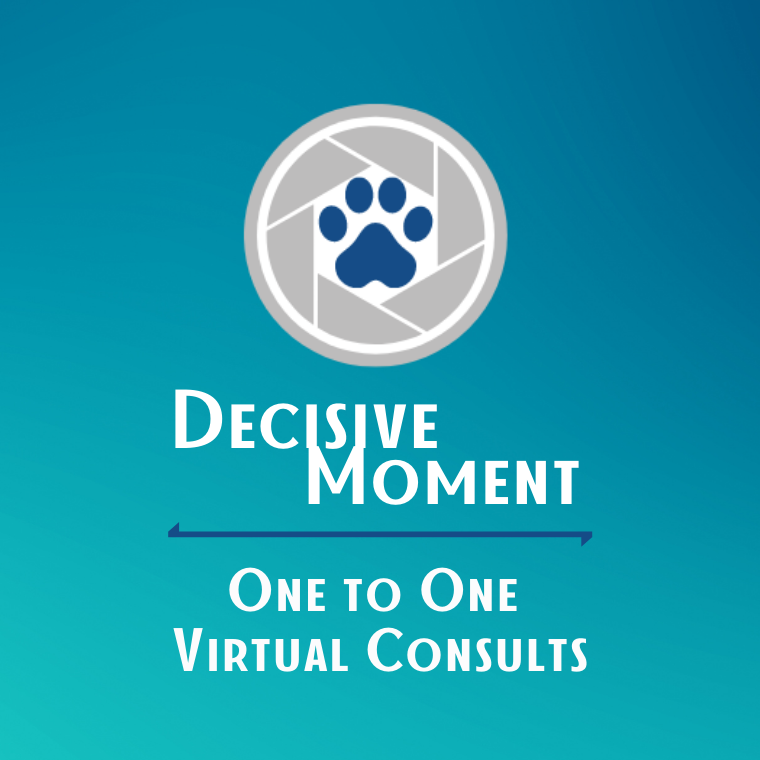The Decisive Moment Logo on a blue background with the words One to One Virtual Consults under it.